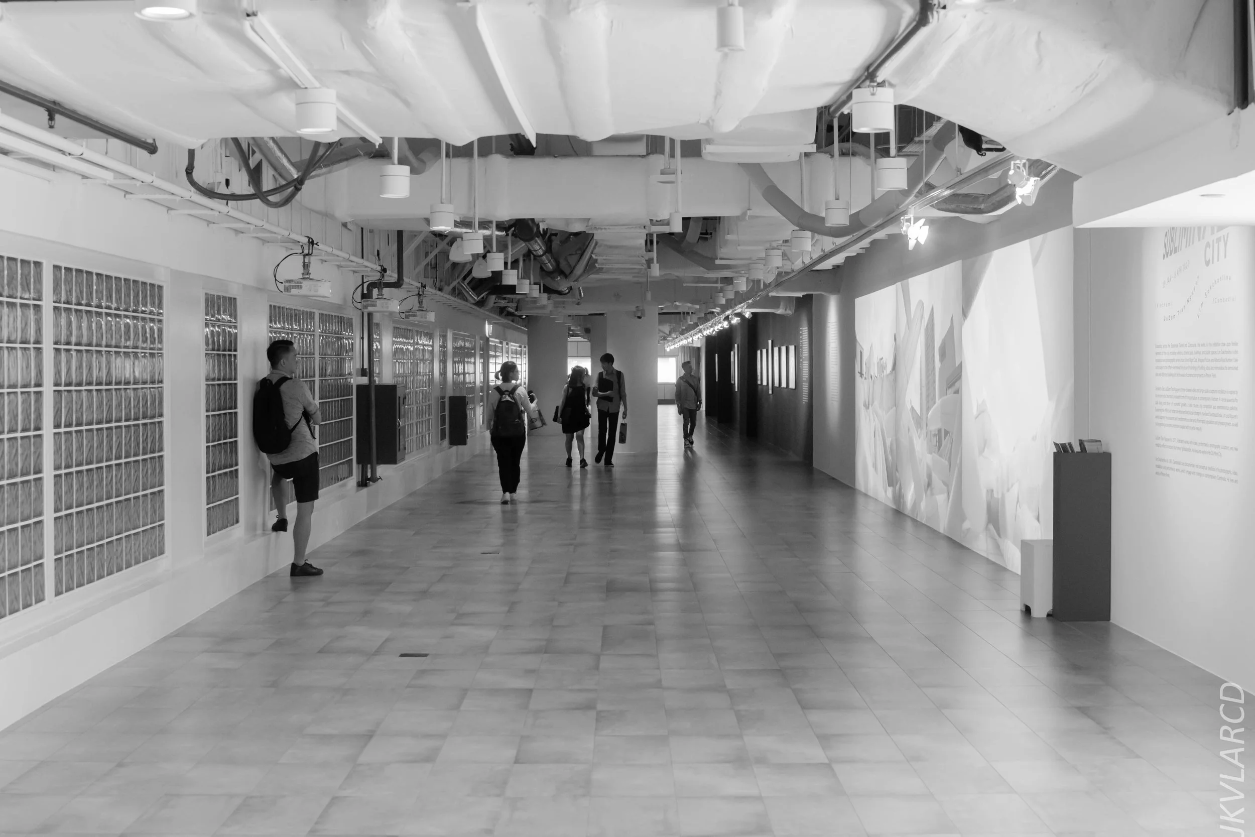 EOS 7D Mark II_2018_01_24_4437.jpg