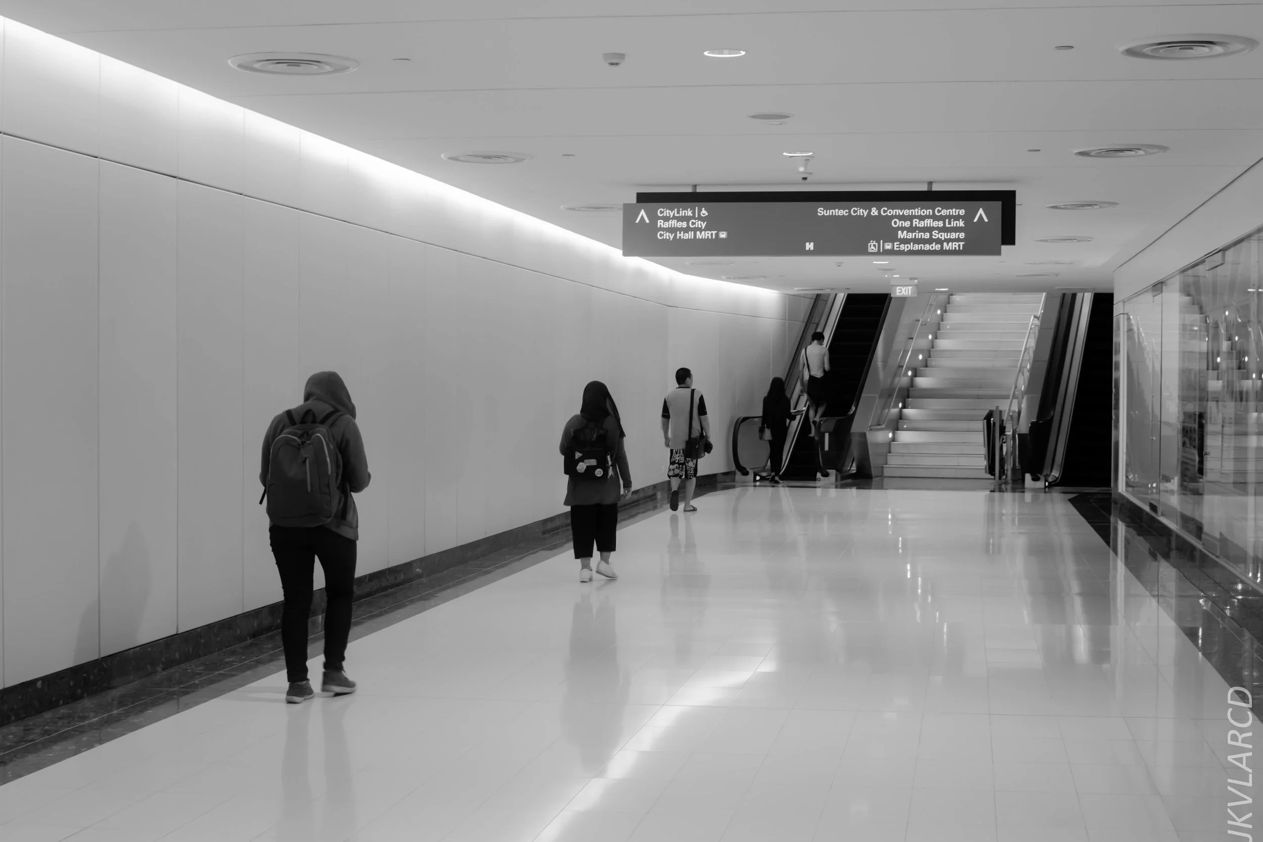 EOS 7D Mark II_2018_01_24_4445.jpg