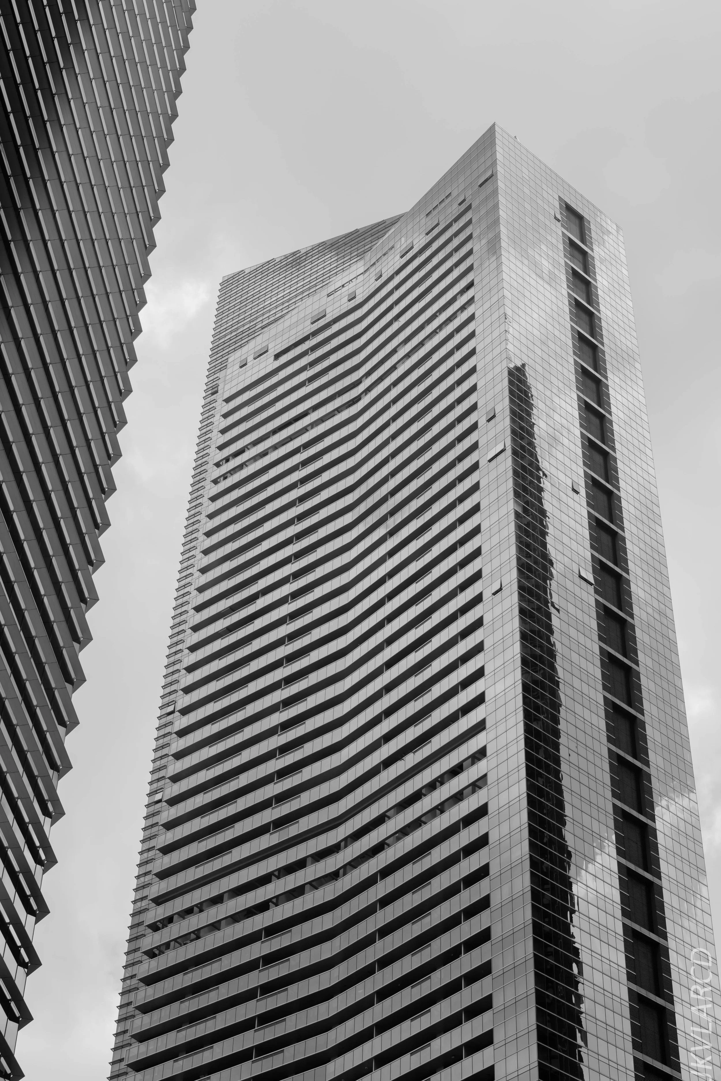 EOS 7D Mark II_2018_02_03_4569.jpg