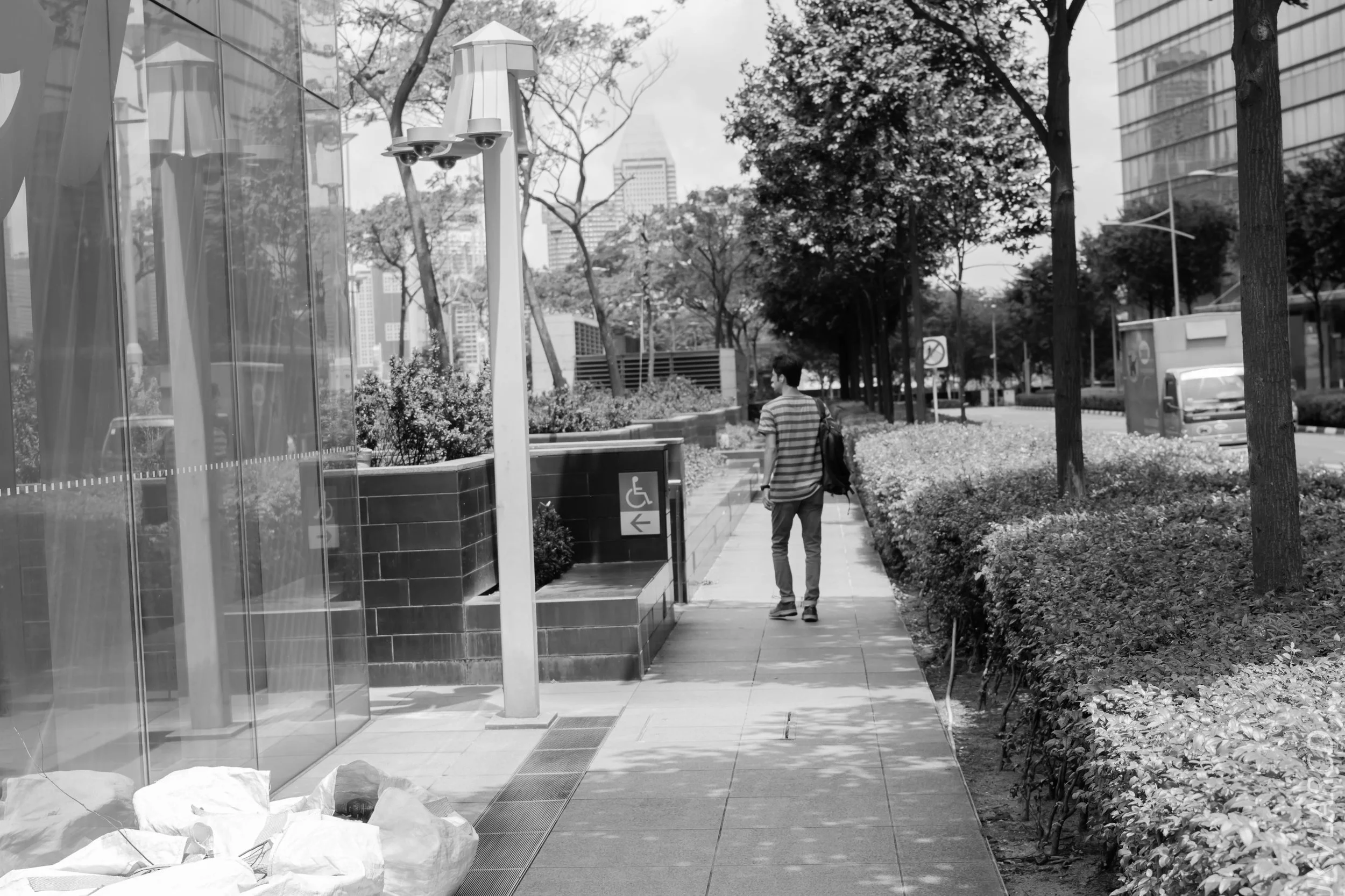 EOS 7D Mark II_2018_02_03_4571.jpg