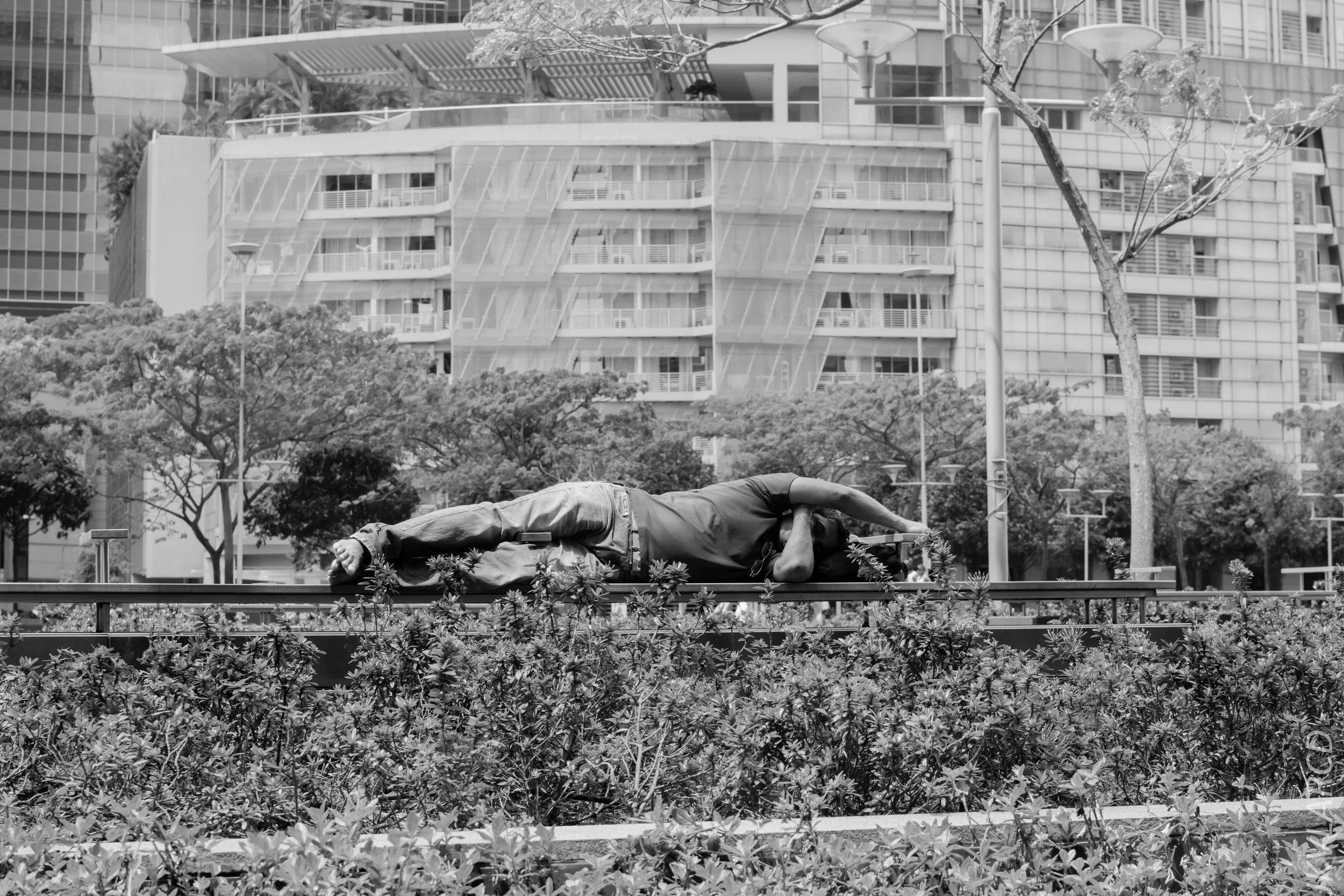 EOS 7D Mark II_2018_02_03_4572.jpg