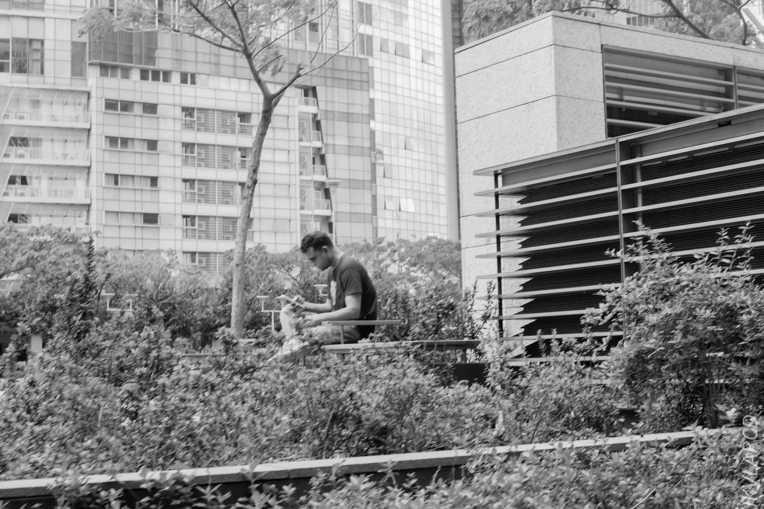 EOS 7D Mark II_2018_02_03_4573.jpg