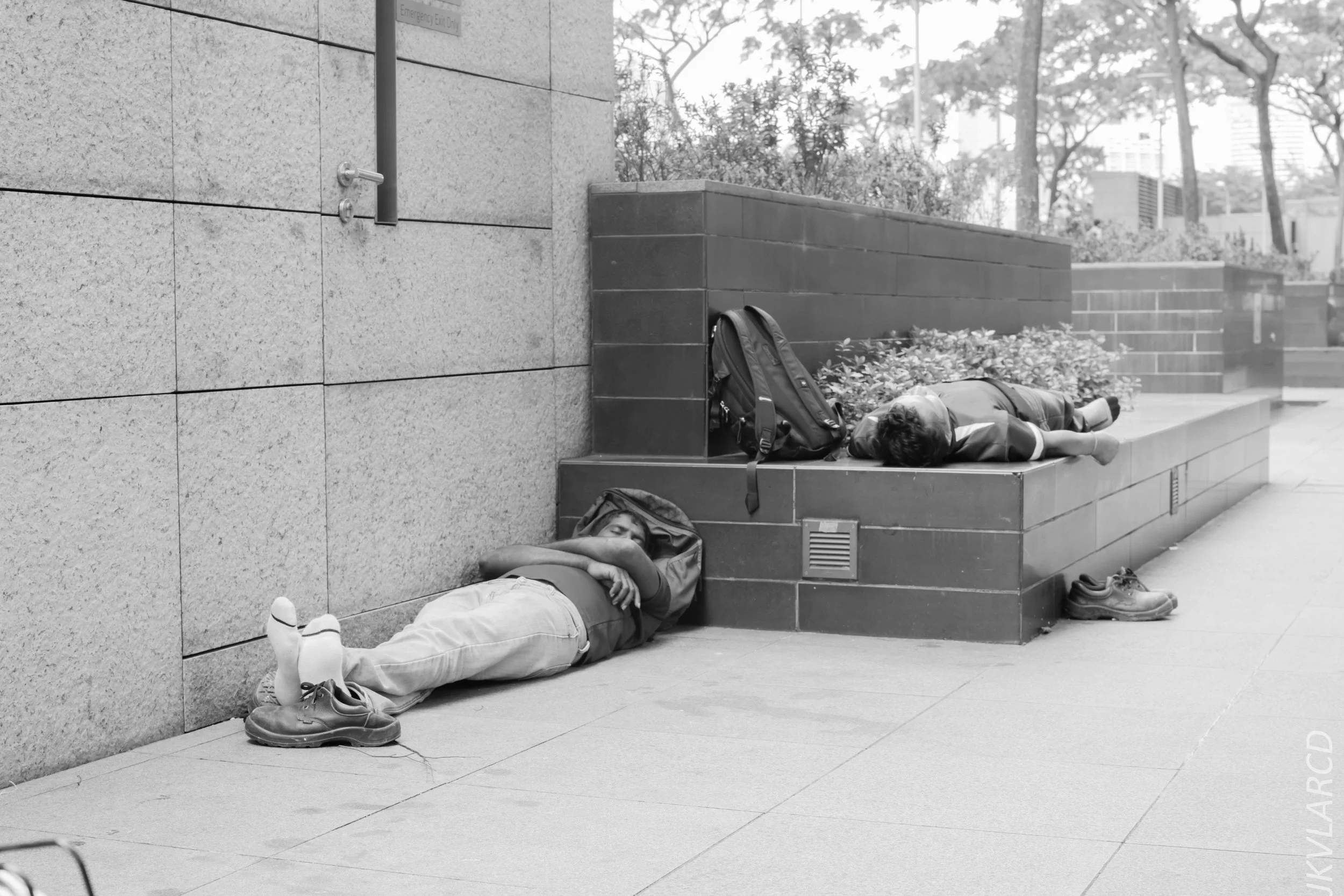 EOS 7D Mark II_2018_02_03_4574.jpg