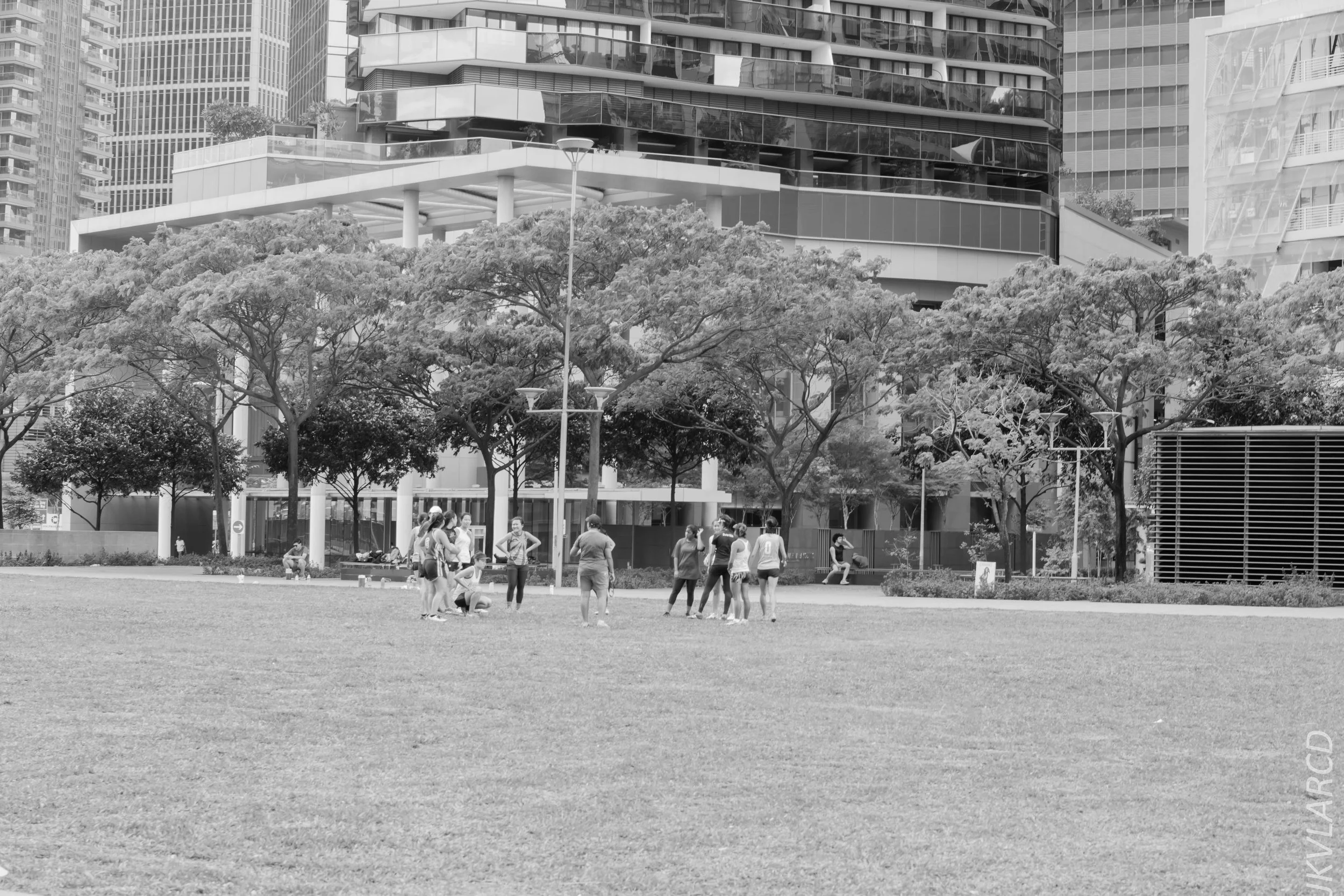 EOS 7D Mark II_2018_02_03_4575.jpg