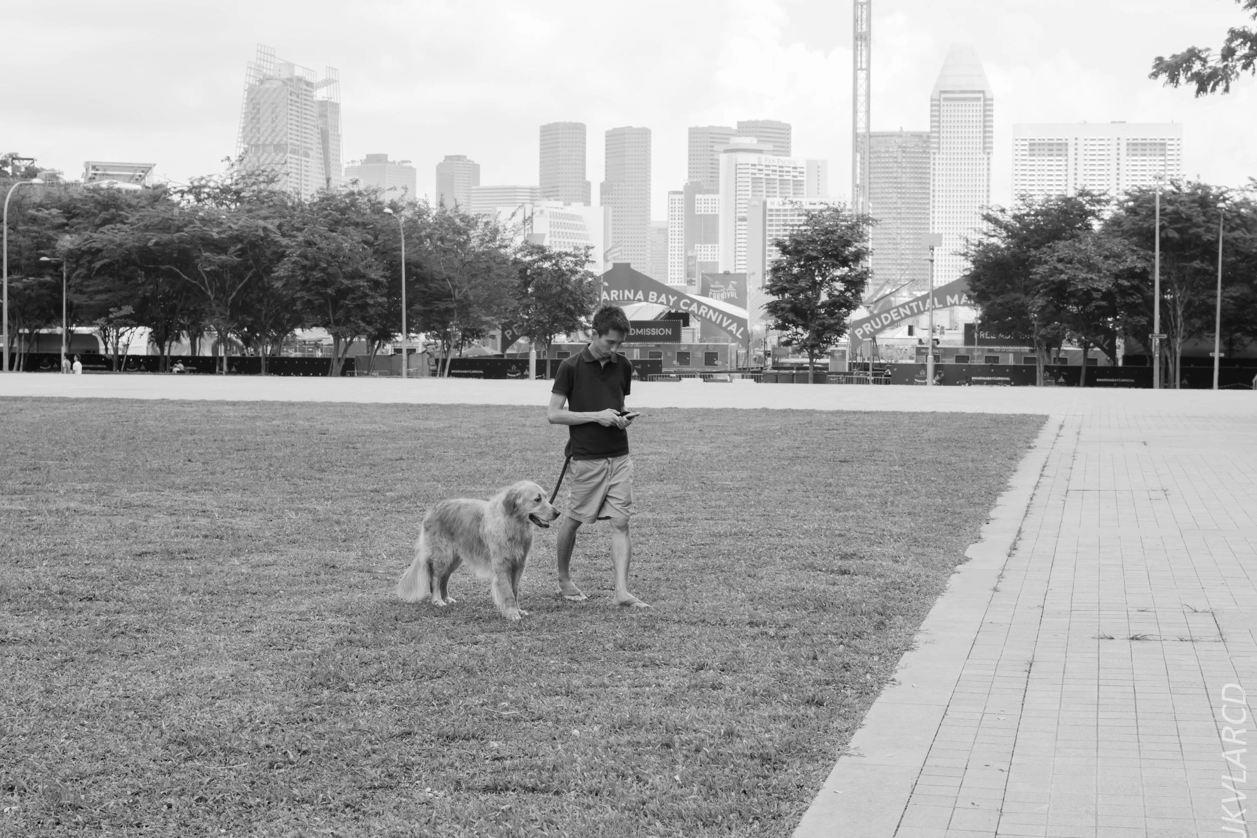 EOS 7D Mark II_2018_02_03_4577.jpg