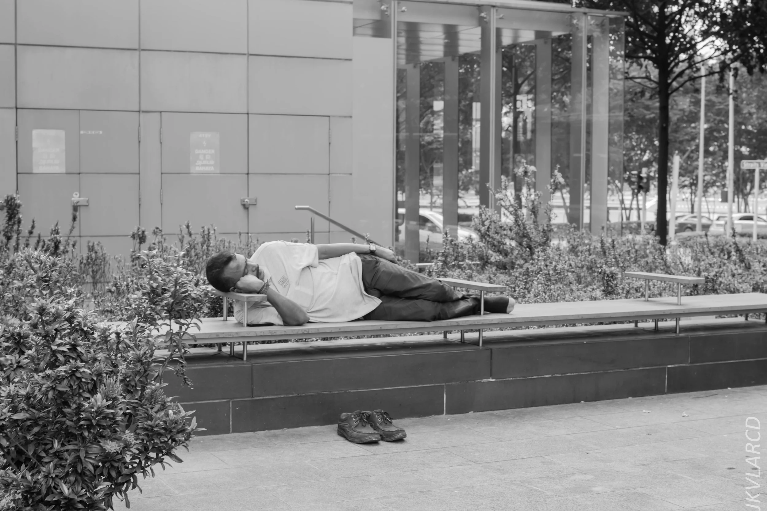 EOS 7D Mark II_2018_02_03_4579.jpg