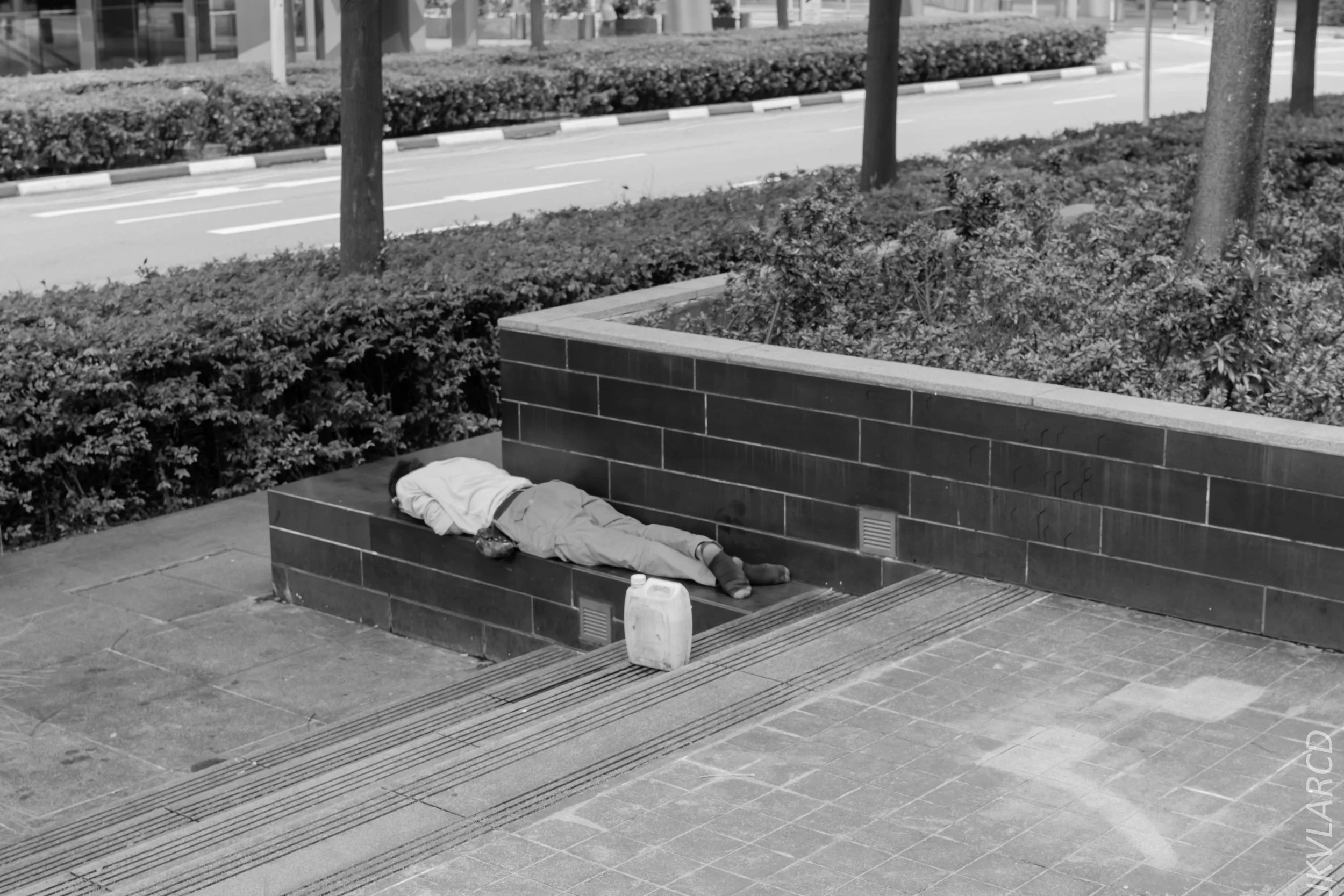 EOS 7D Mark II_2018_02_03_4580.jpg