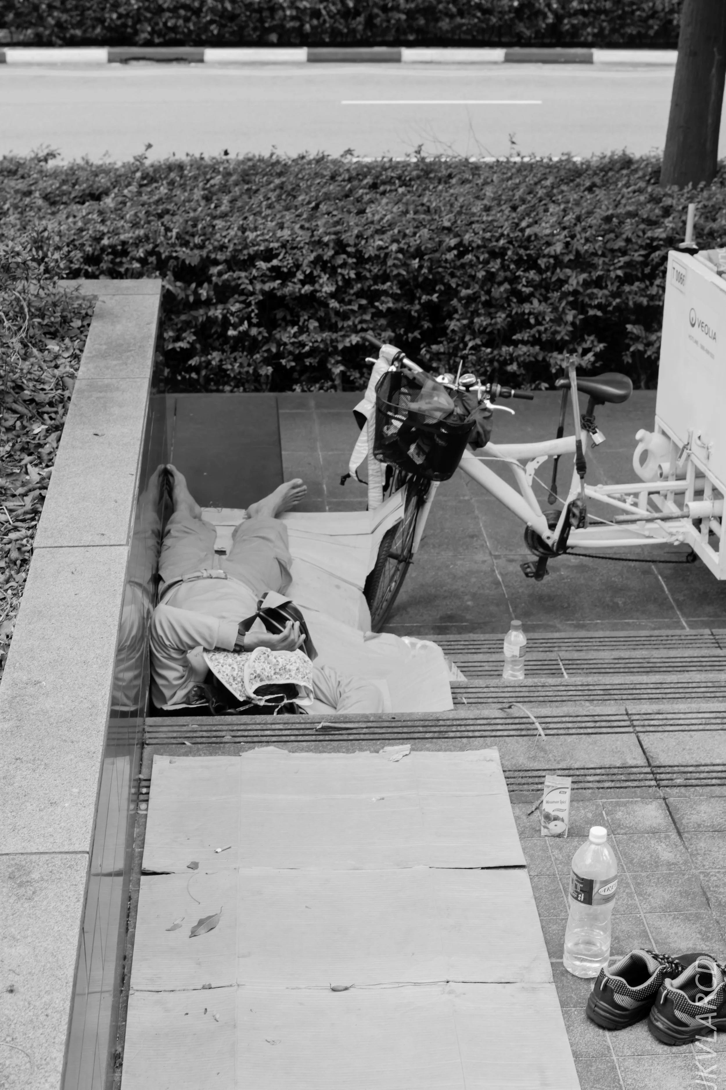 EOS 7D Mark II_2018_02_03_4581.jpg