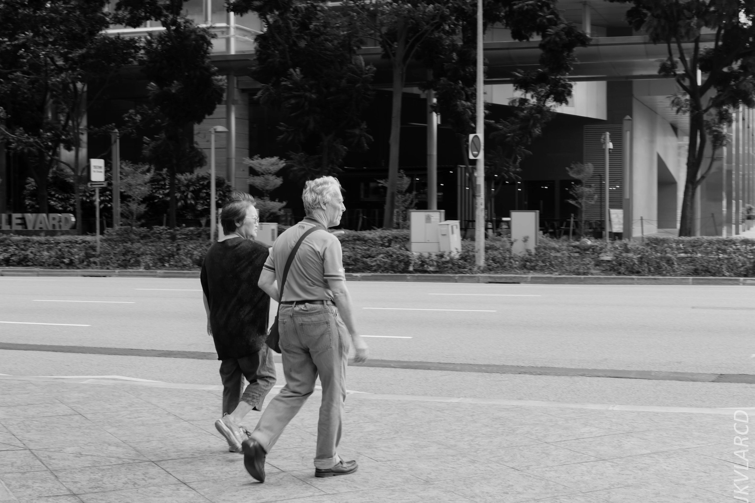 EOS 7D Mark II_2018_02_03_4584.jpg