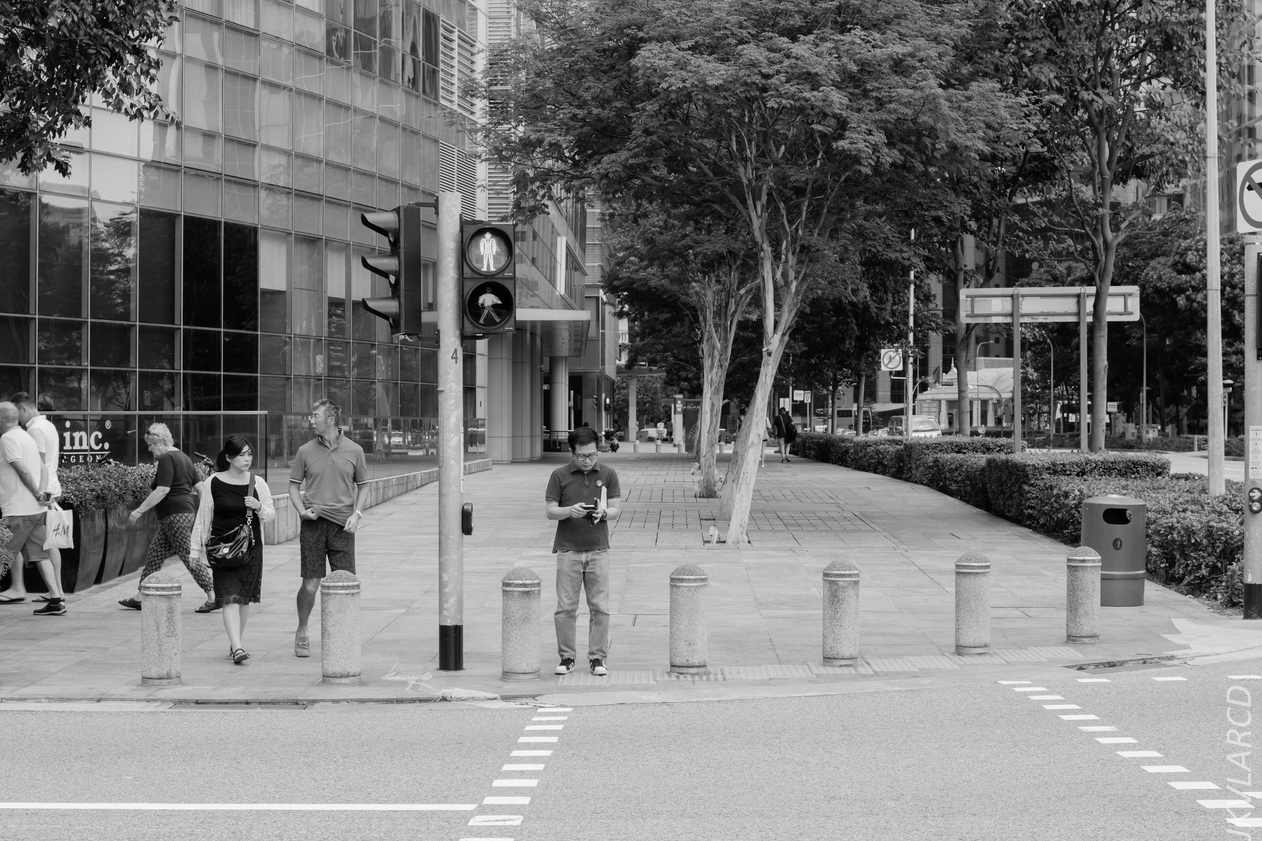 EOS 7D Mark II_2018_02_03_4583.jpg