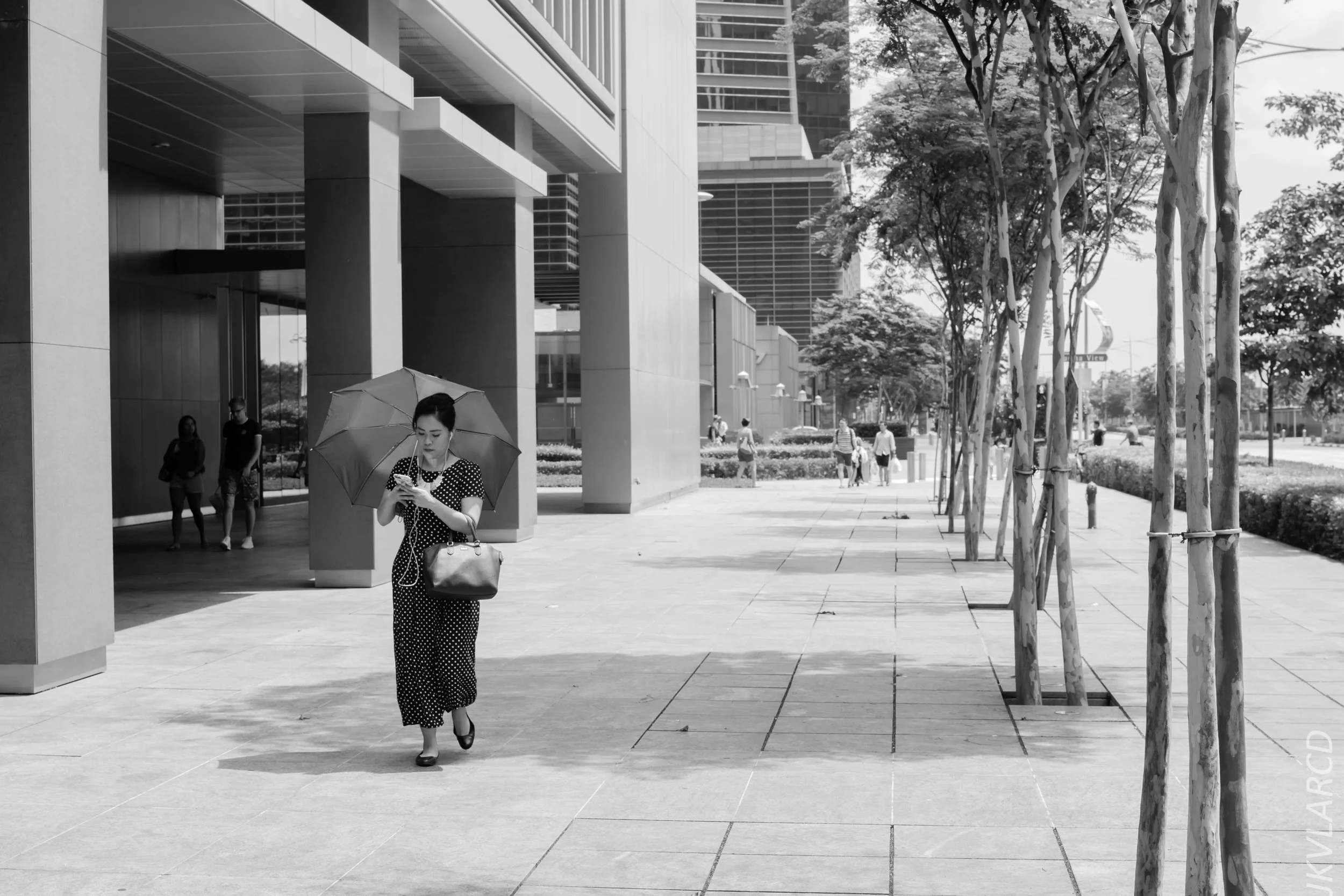 EOS 7D Mark II_2018_02_03_4592.jpg