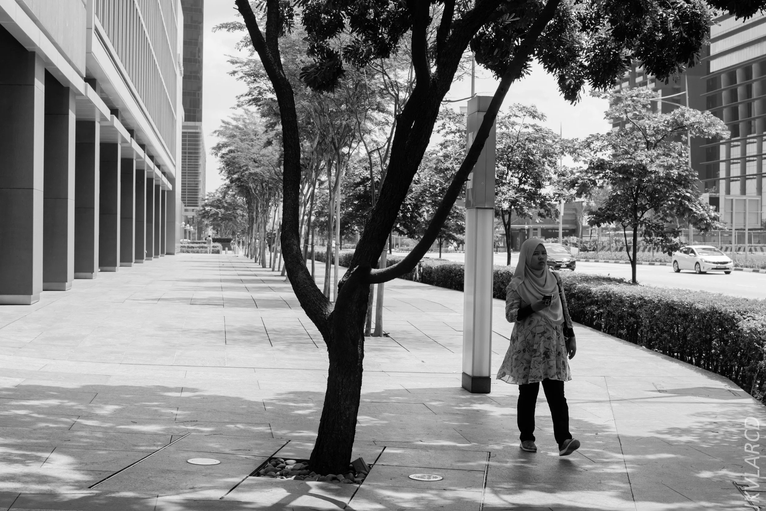 EOS 7D Mark II_2018_02_03_4591.jpg