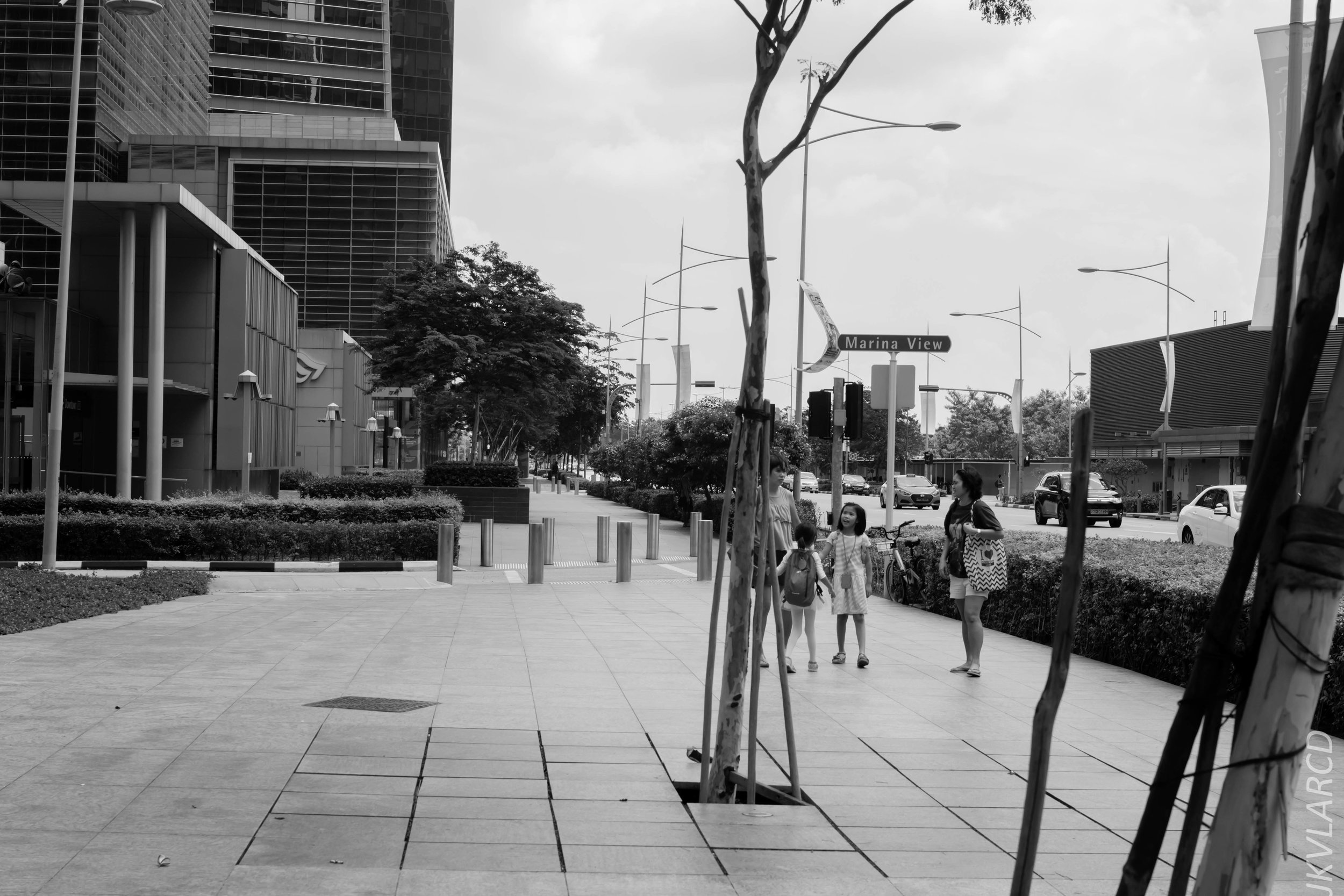 EOS 7D Mark II_2018_02_03_4593.jpg