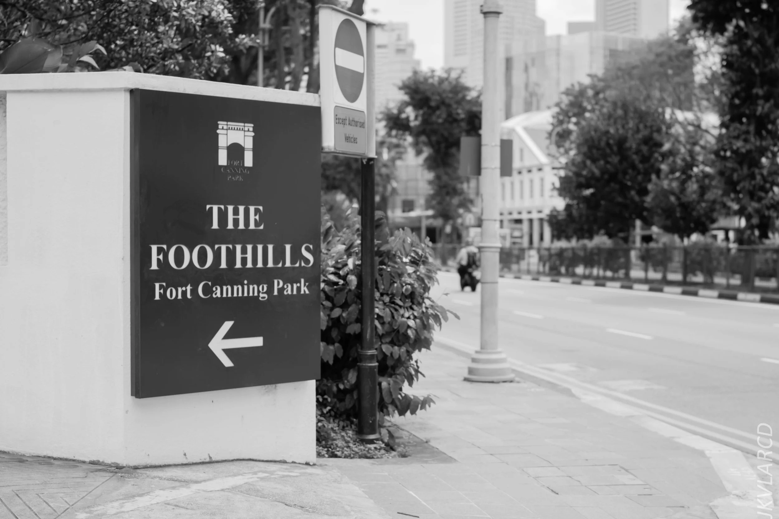 EOS 7D Mark II_2018_02_03_4595.jpg