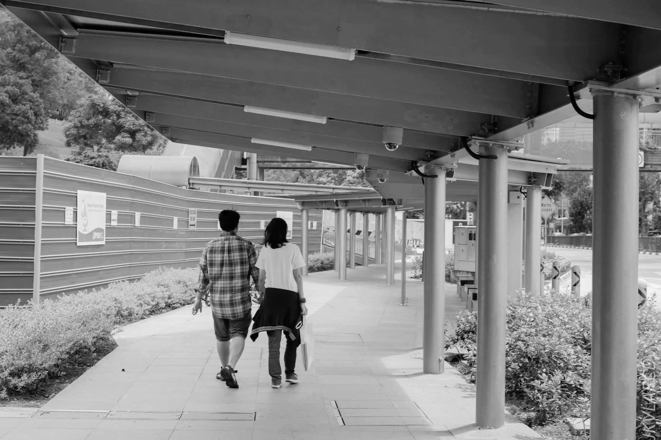 EOS 7D Mark II_2018_02_03_4594.jpg