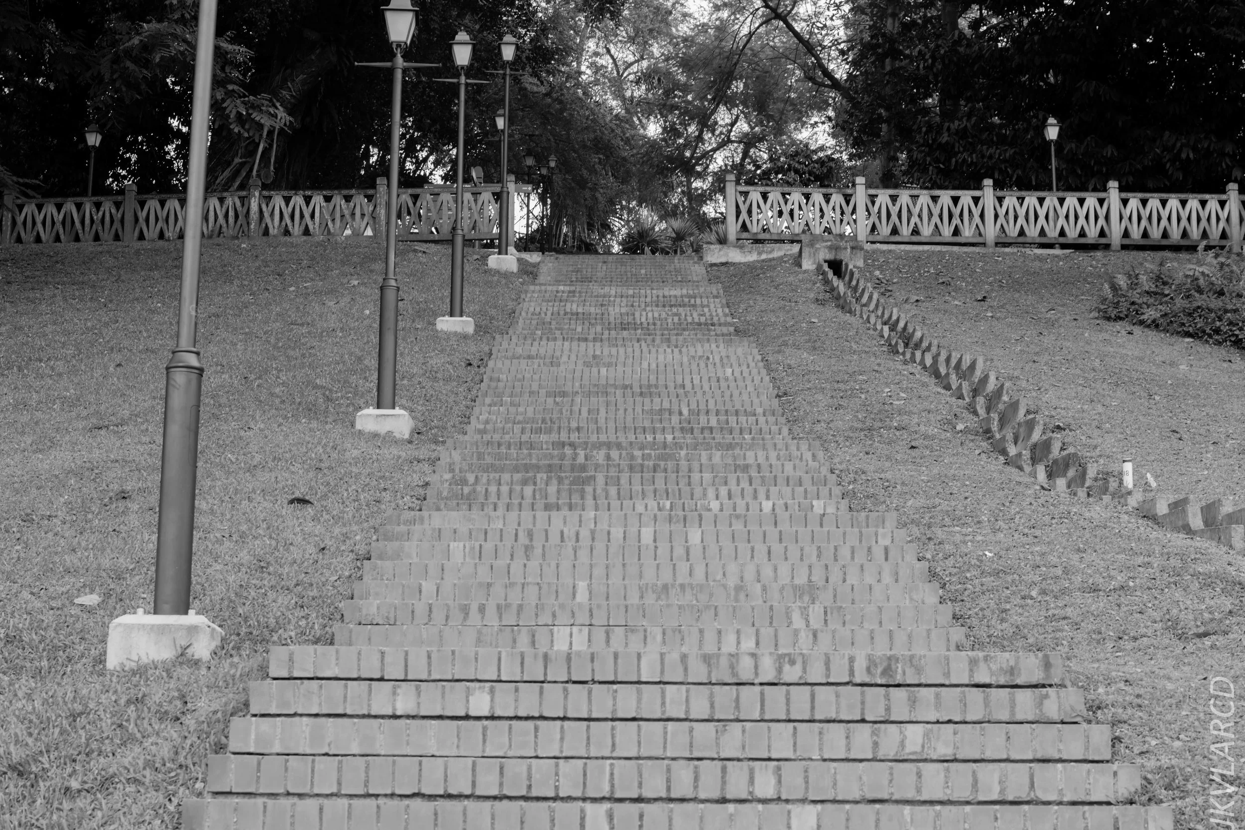 EOS 7D Mark II_2018_02_03_4596.jpg