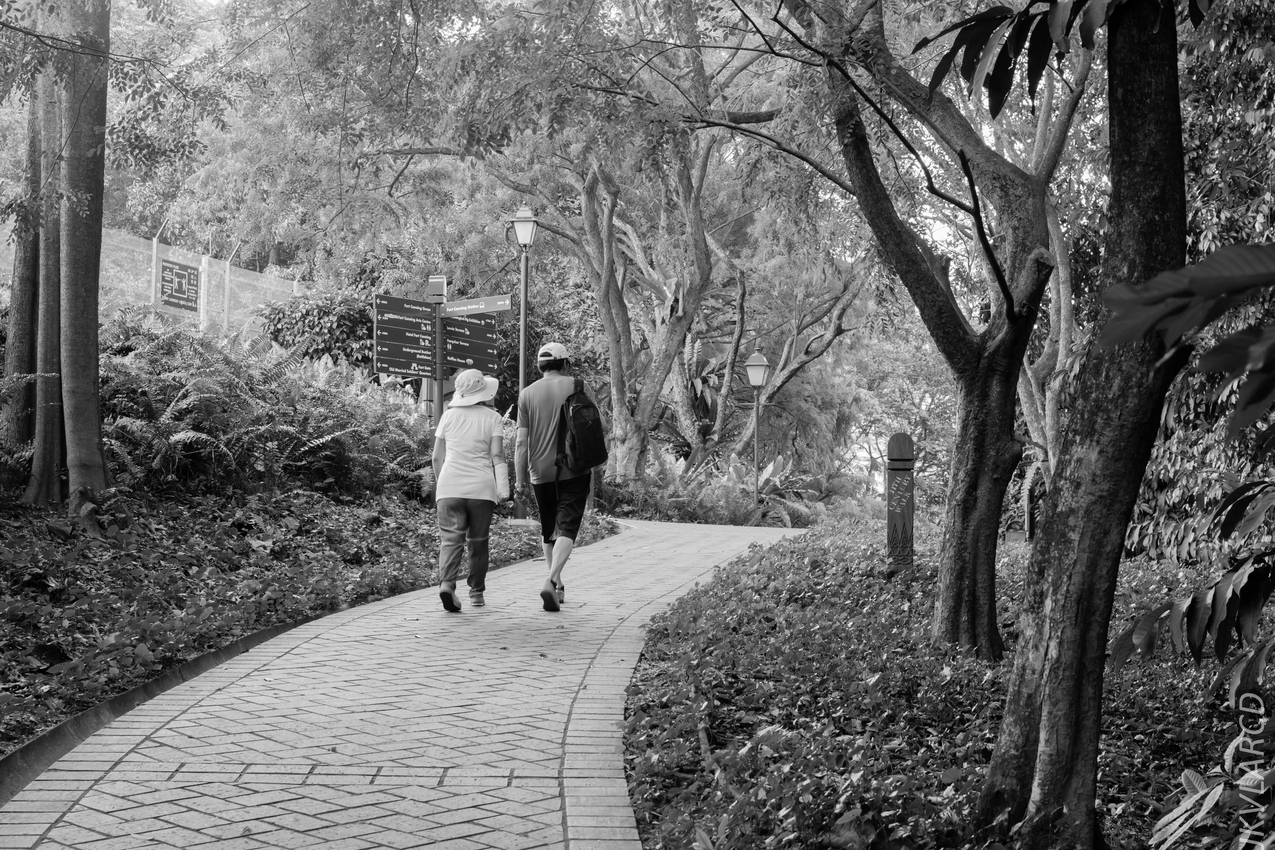 EOS 7D Mark II_2018_02_03_4600.jpg