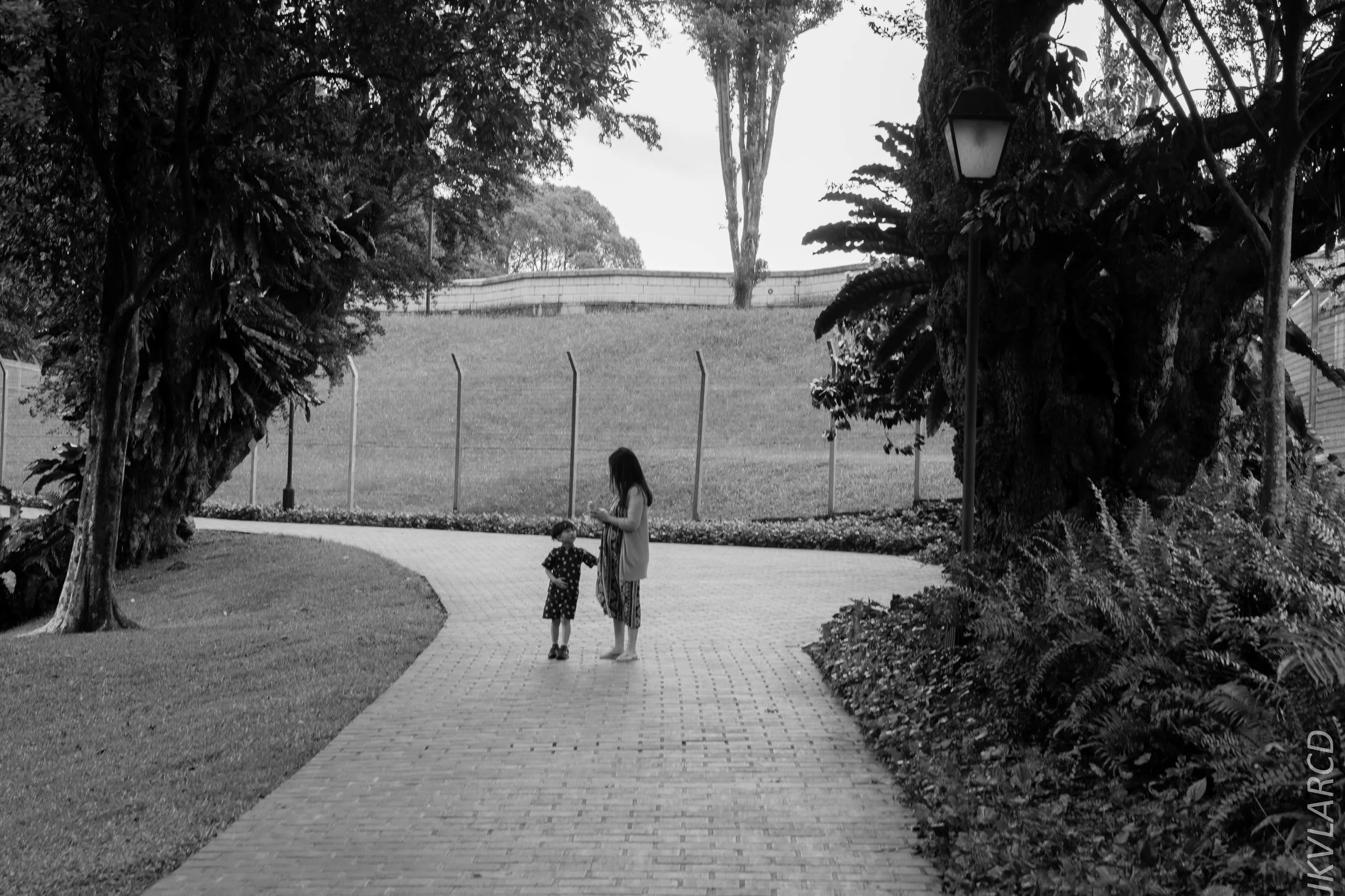 EOS 7D Mark II_2018_02_03_4601.jpg