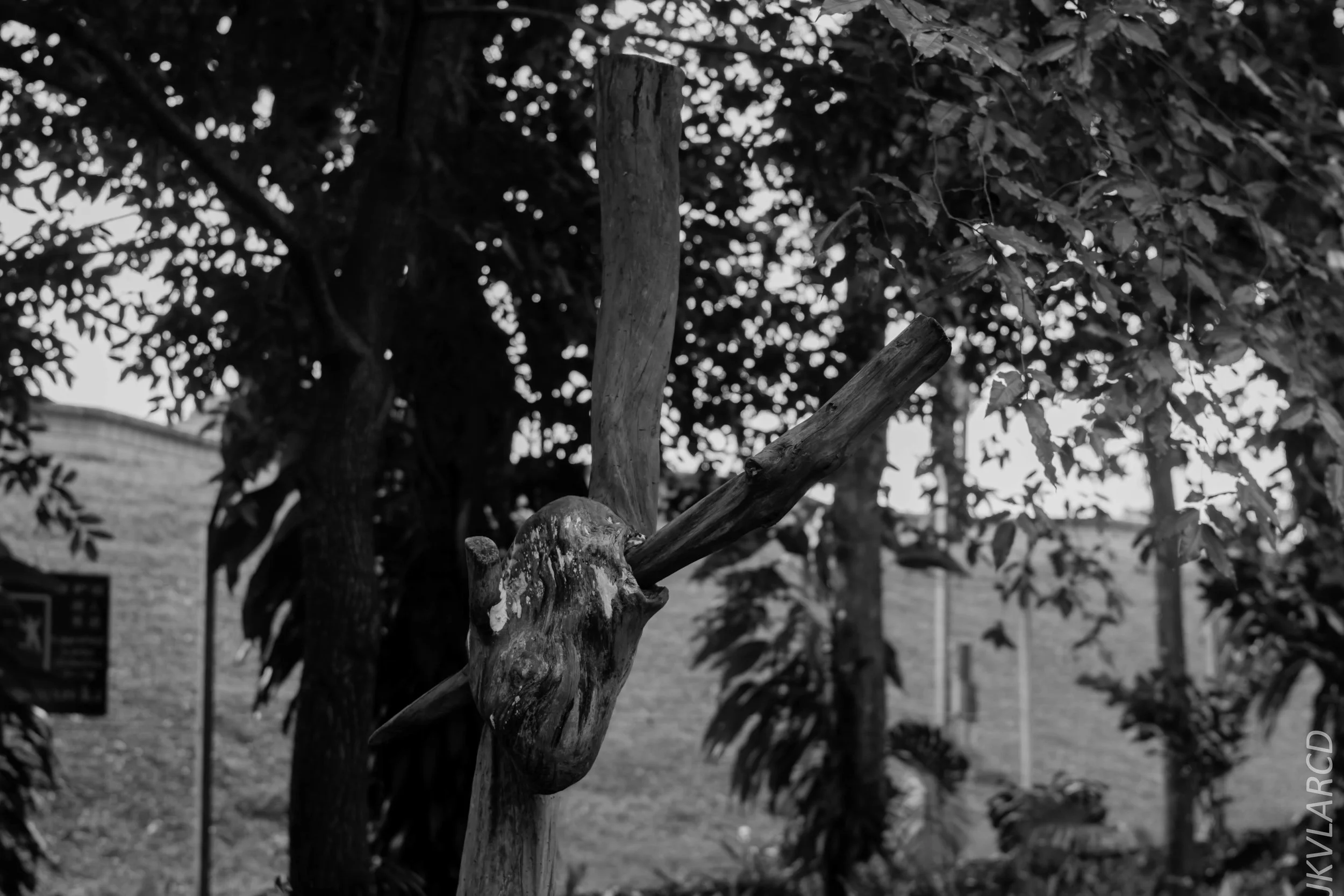 EOS 7D Mark II_2018_02_03_4603.jpg