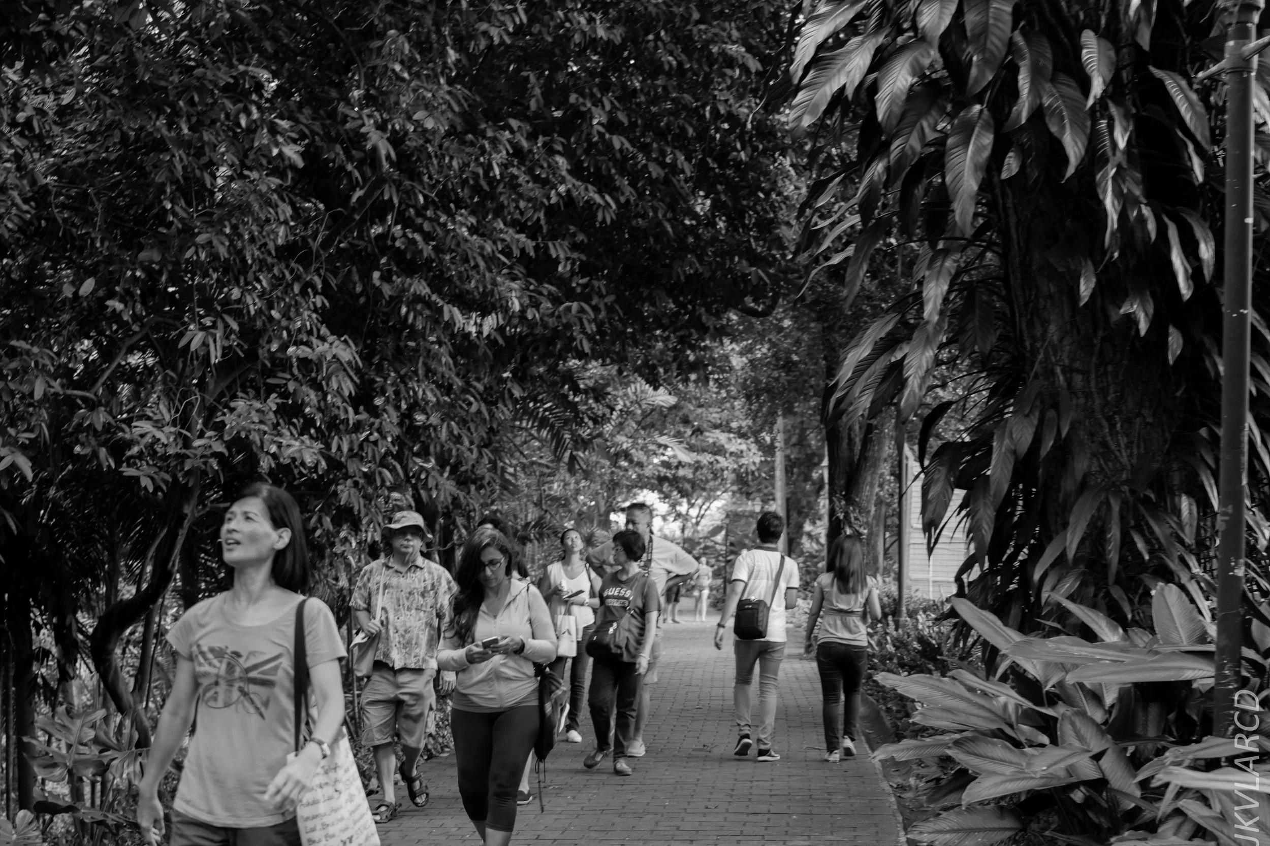 EOS 7D Mark II_2018_02_03_4604.jpg