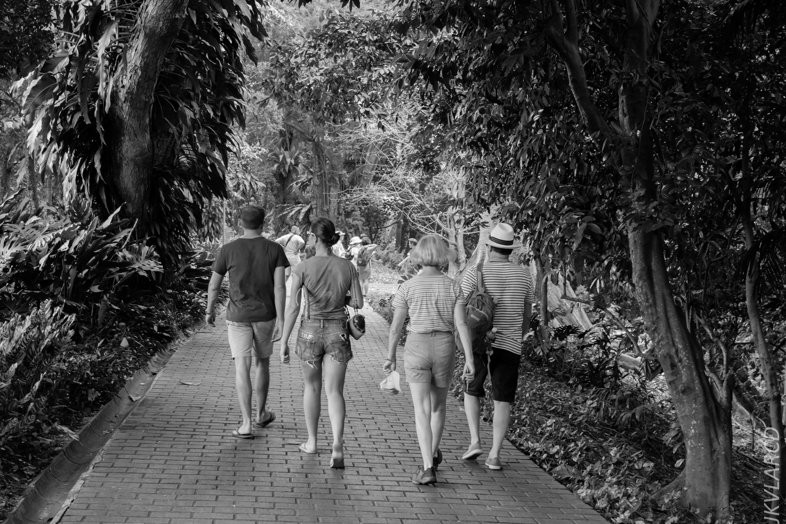 EOS 7D Mark II_2018_02_03_4605.jpg