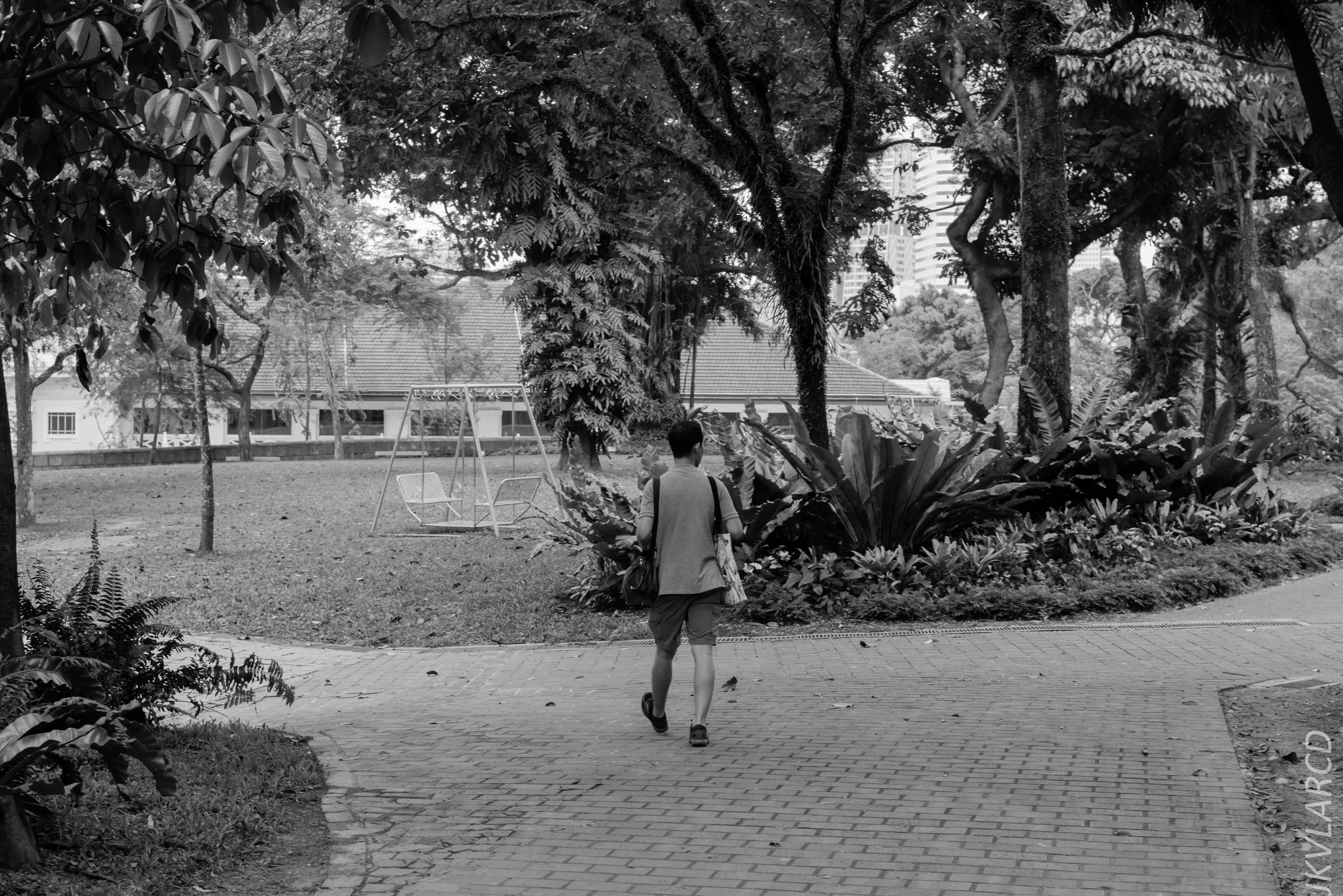 EOS 7D Mark II_2018_02_03_4606.jpg