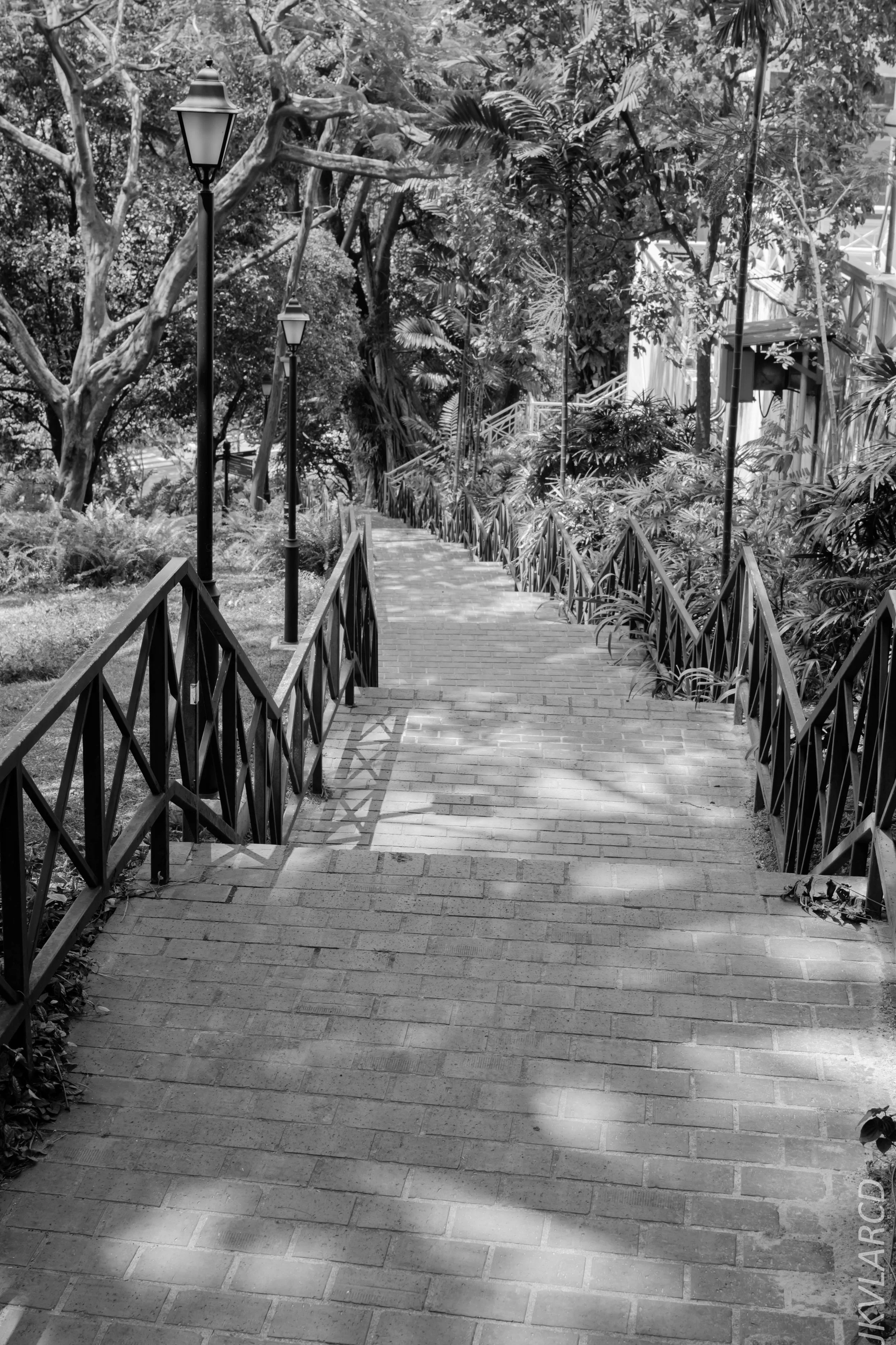 EOS 7D Mark II_2018_02_03_4622.jpg