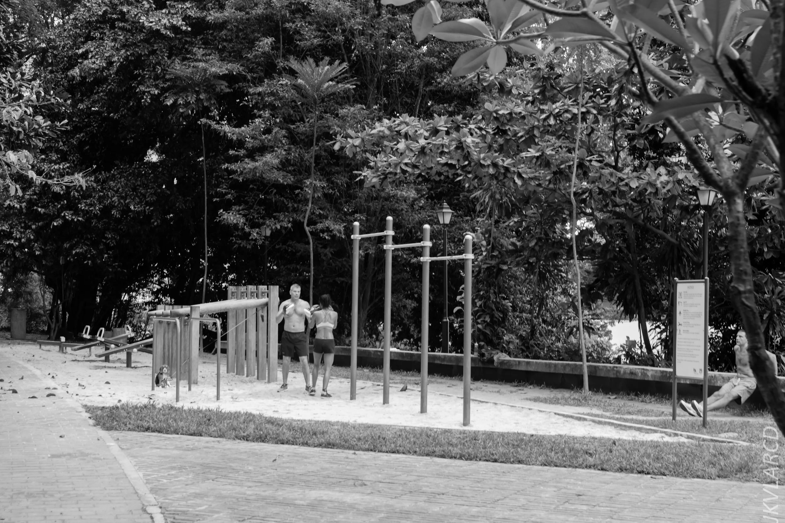 EOS 7D Mark II_2018_02_03_4627.jpg