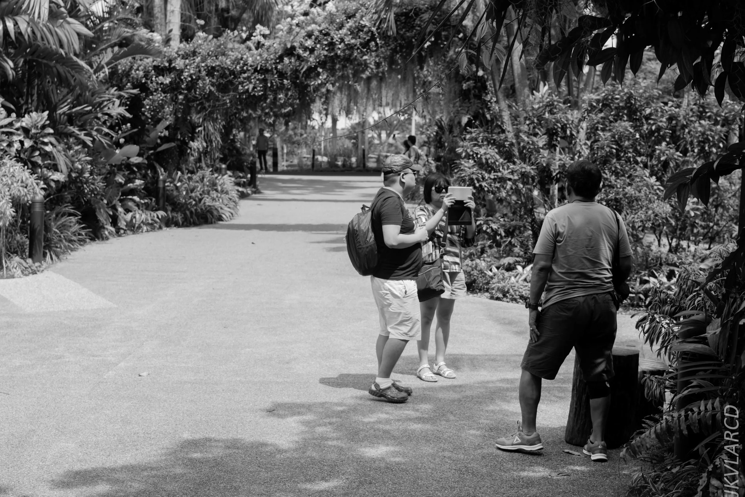 EOS 7D Mark II_2018_01_27_4493.jpg