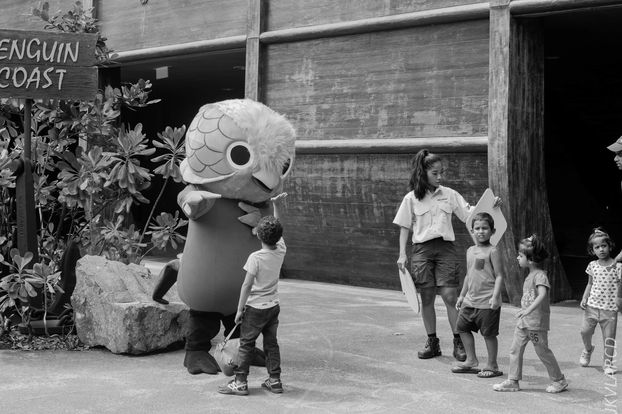 EOS 7D Mark II_2018_01_27_4491.jpg