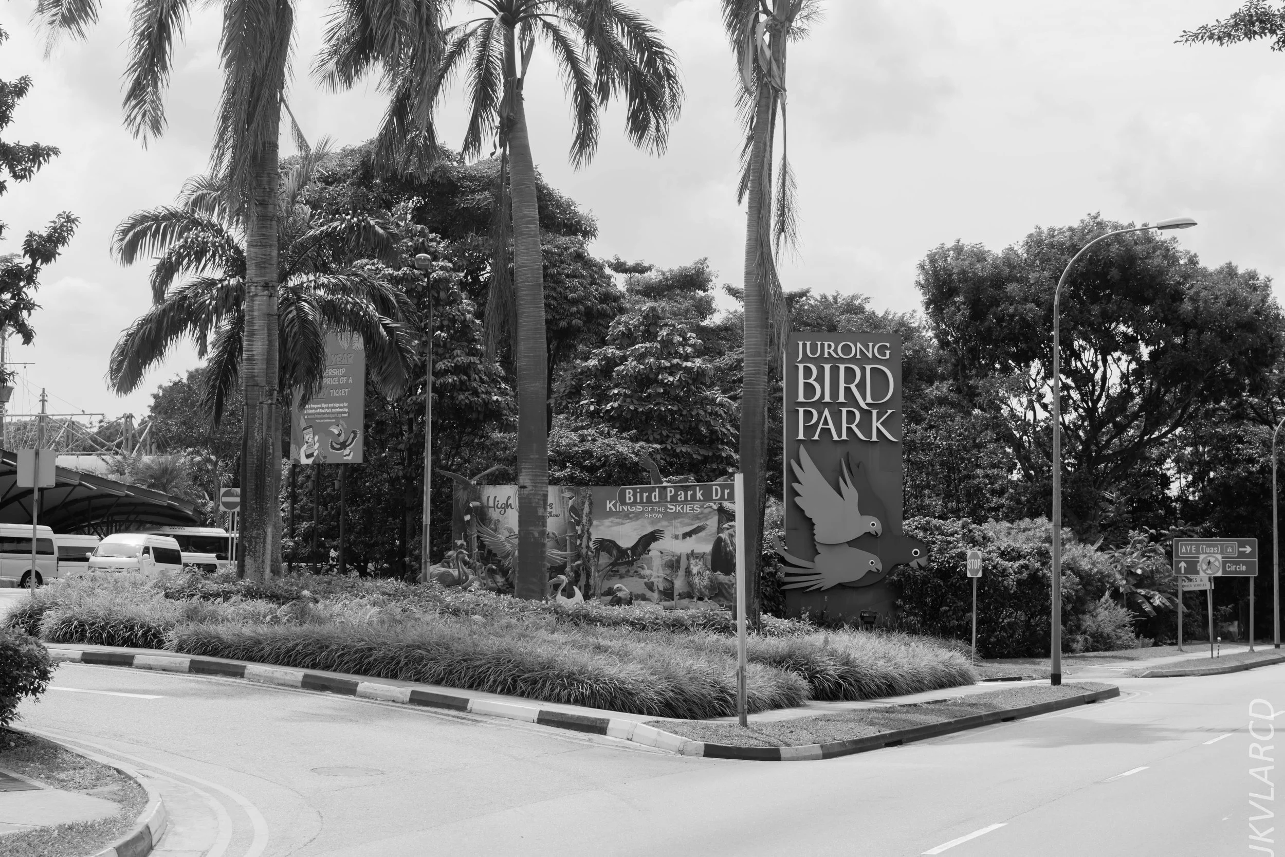 EOS 7D Mark II_2018_01_27_4497.jpg