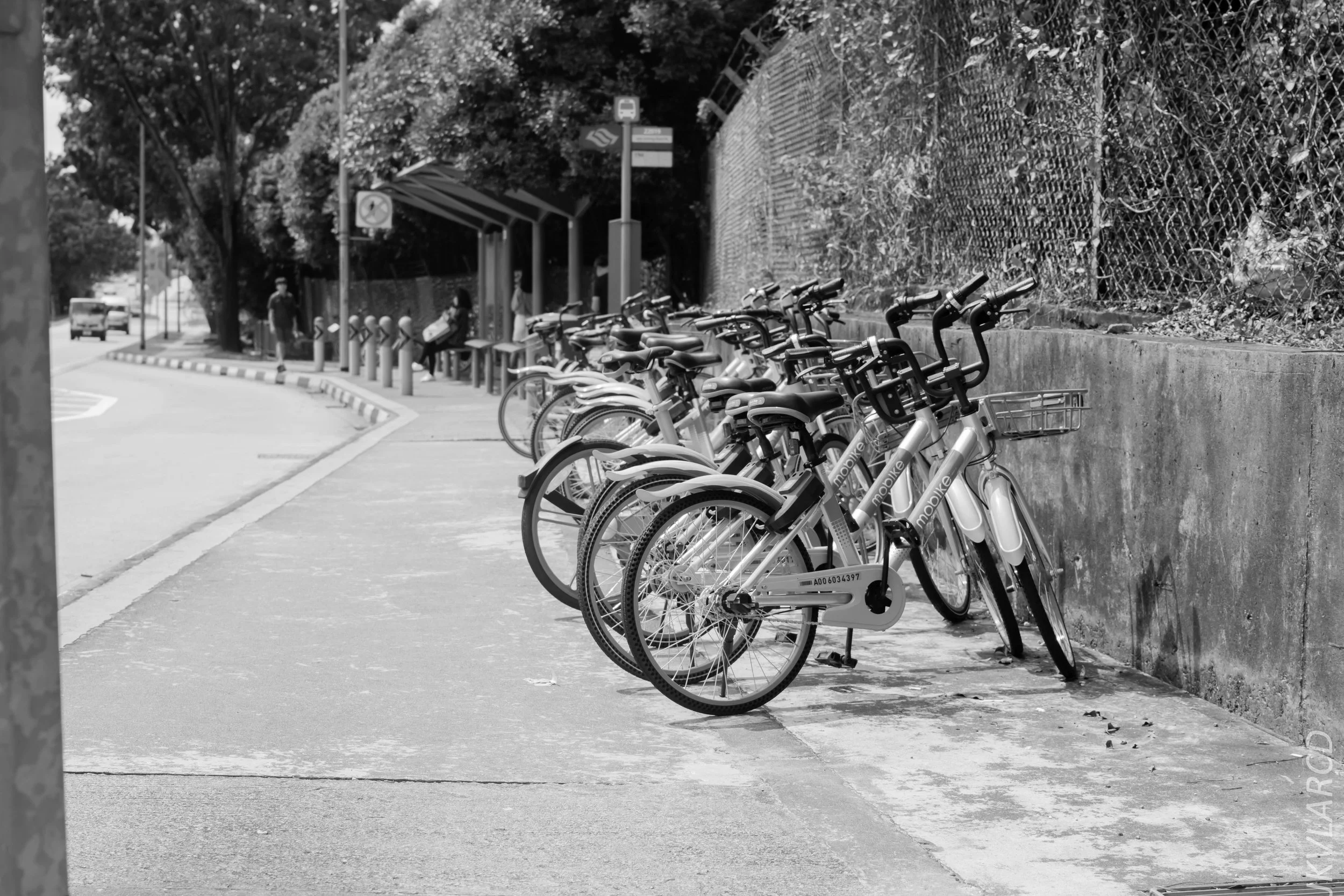 EOS 7D Mark II_2018_01_27_4498.jpg