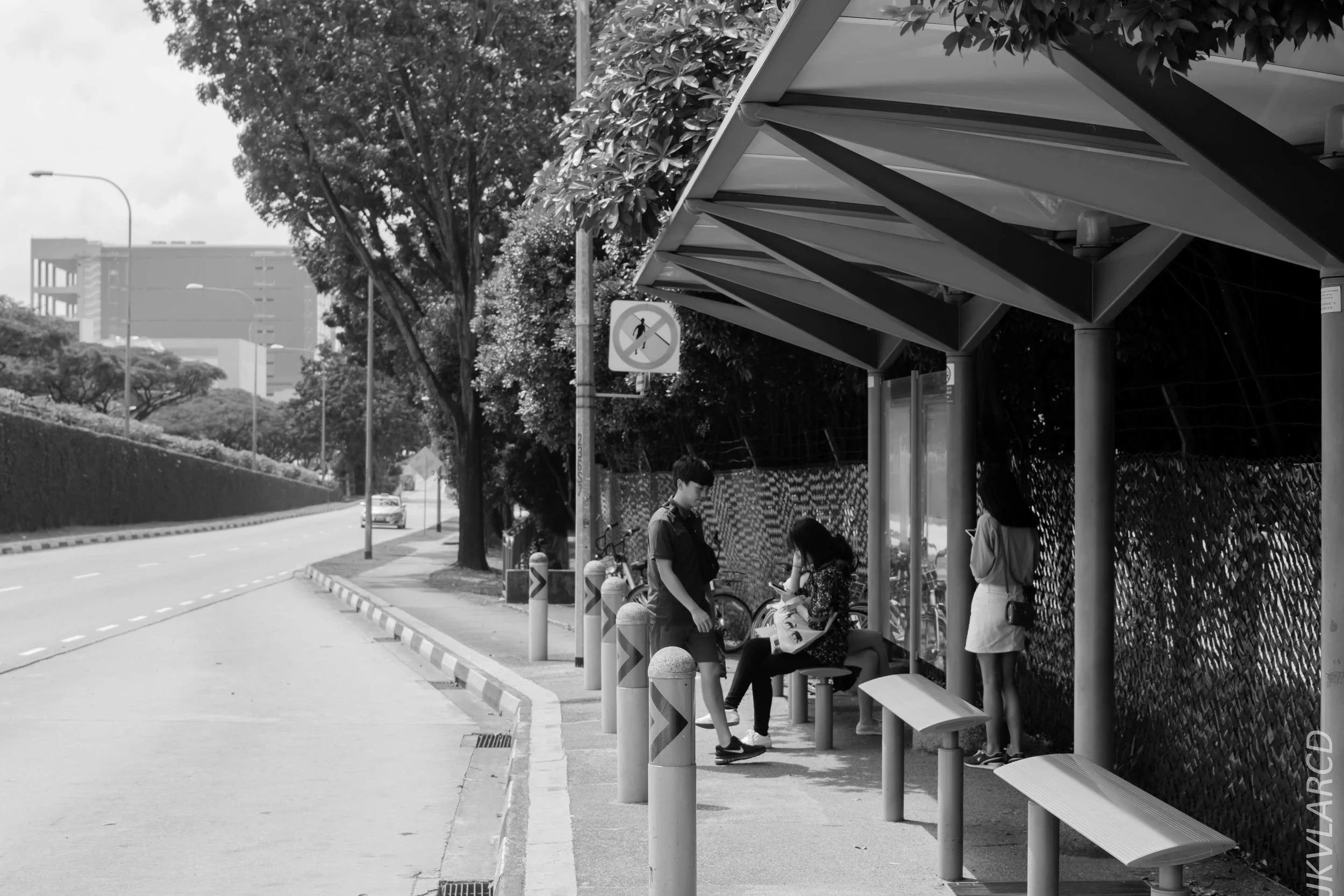 EOS 7D Mark II_2018_01_27_4499.jpg