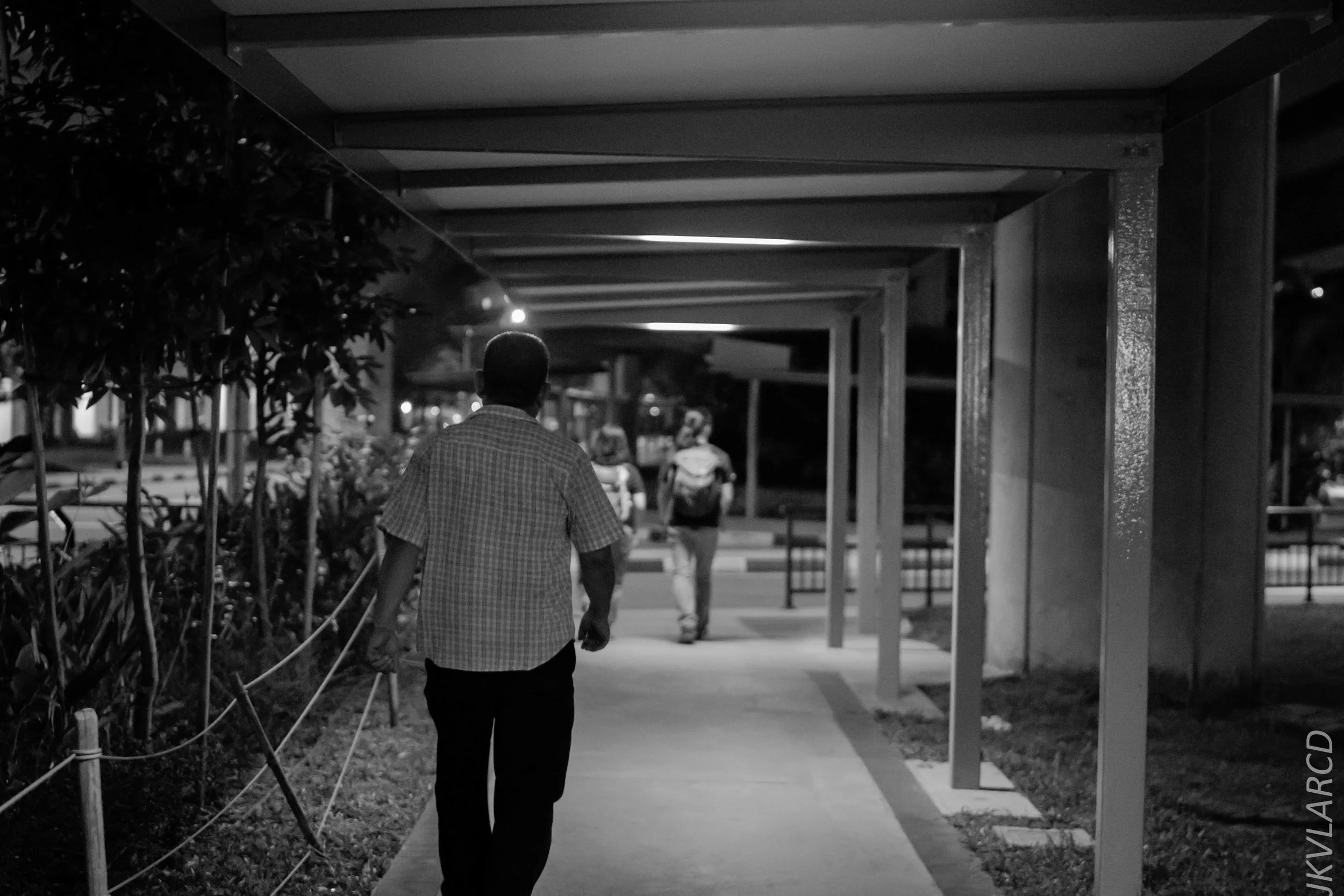 EOS 7D Mark II_2018_02_03_4629.jpg