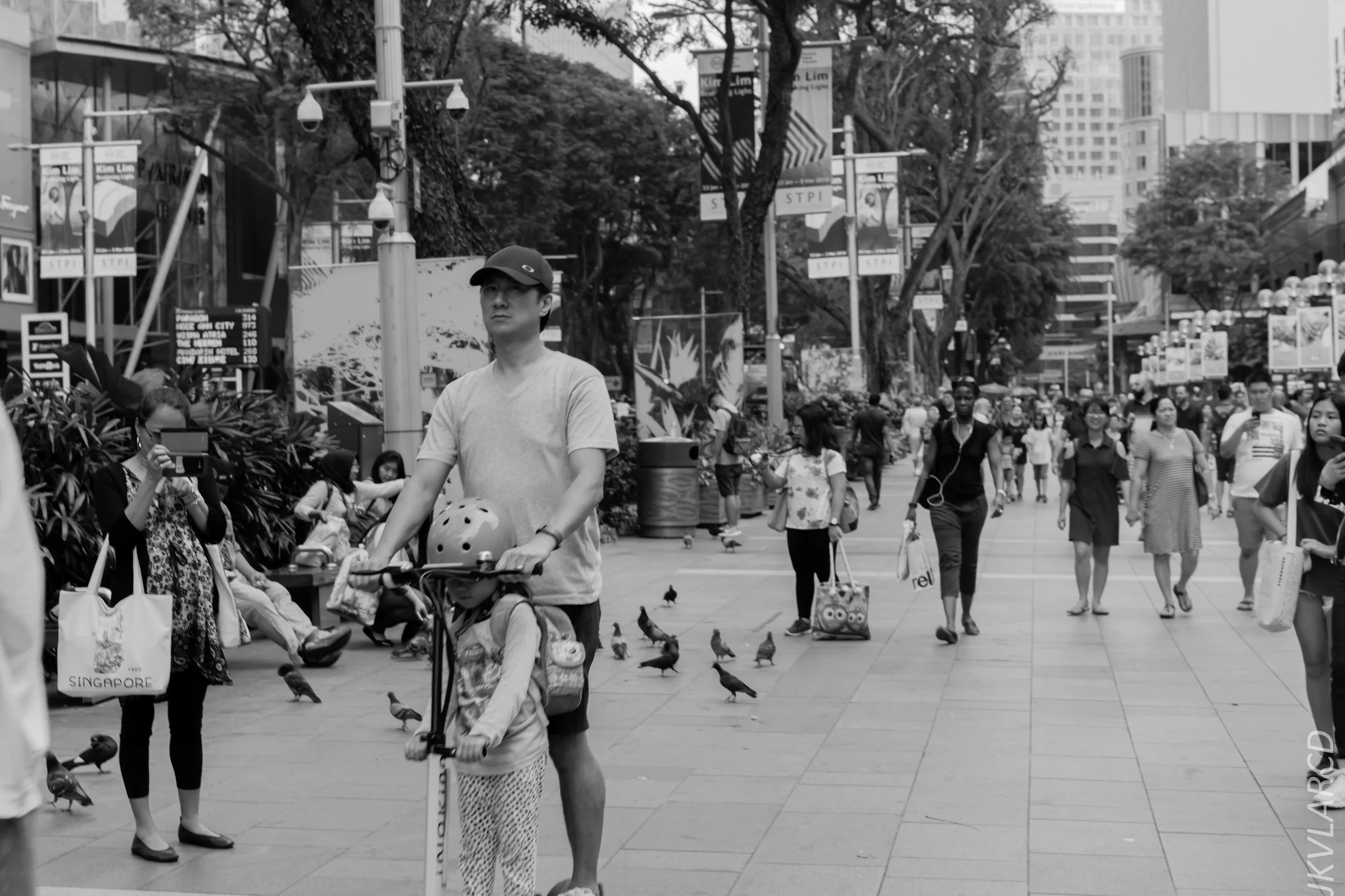 EOS 7D Mark II_2018_02_17_6787.jpg