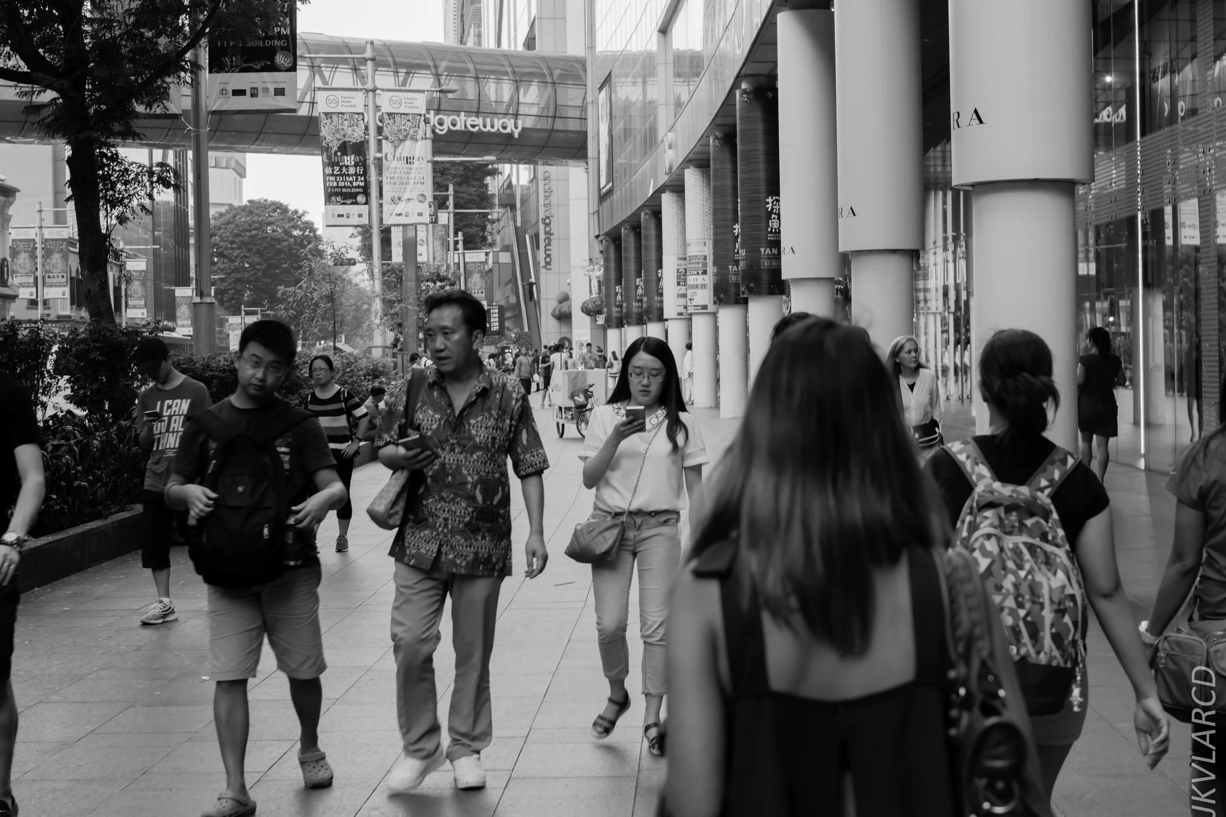 EOS 7D Mark II_2018_02_17_6804.jpg