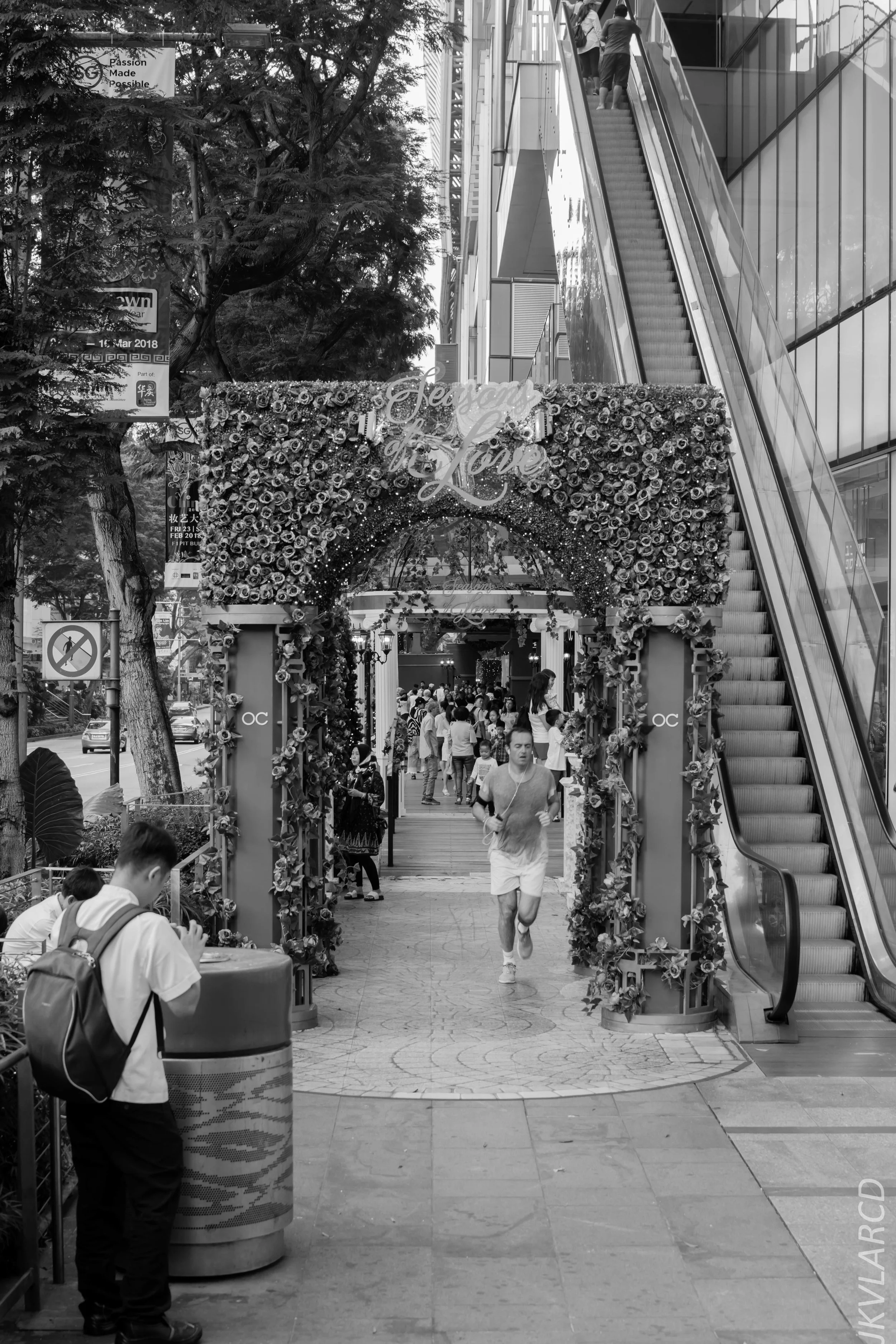 EOS 7D Mark II_2018_02_17_6810.jpg