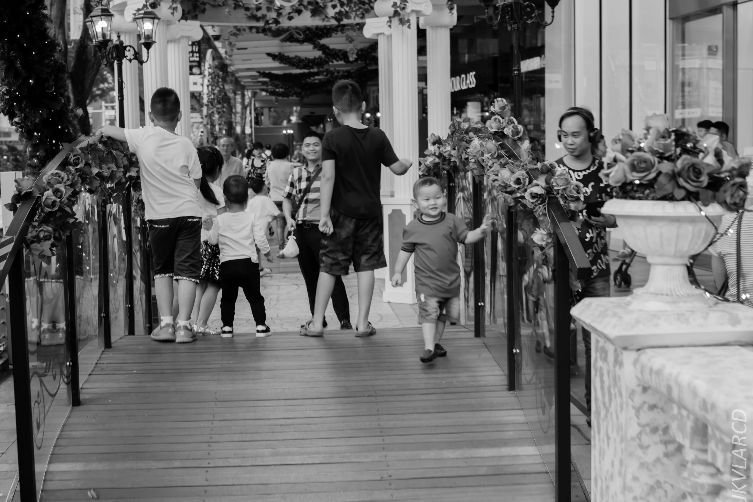 EOS 7D Mark II_2018_02_17_6812.jpg