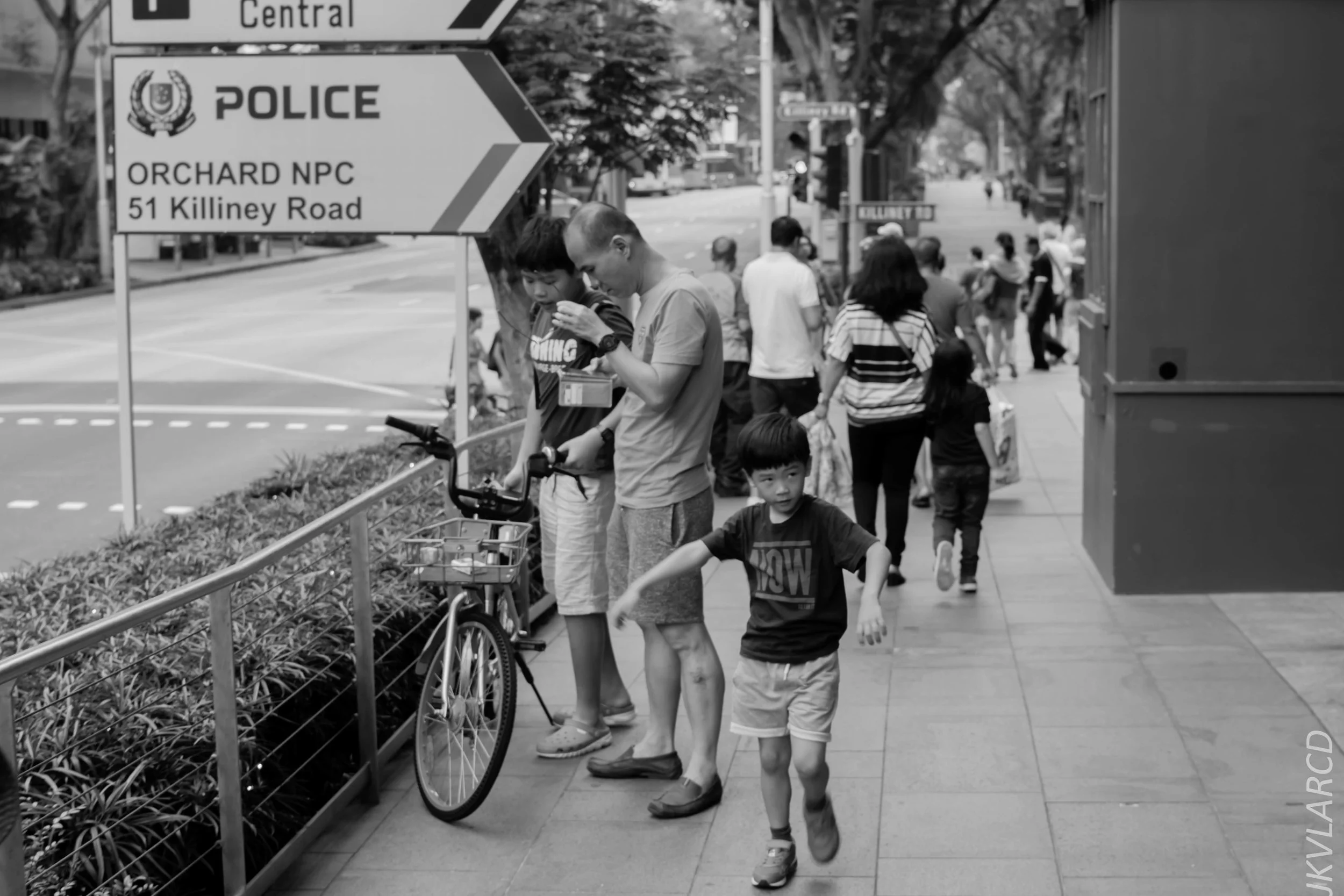 EOS 7D Mark II_2018_02_17_6816.jpg