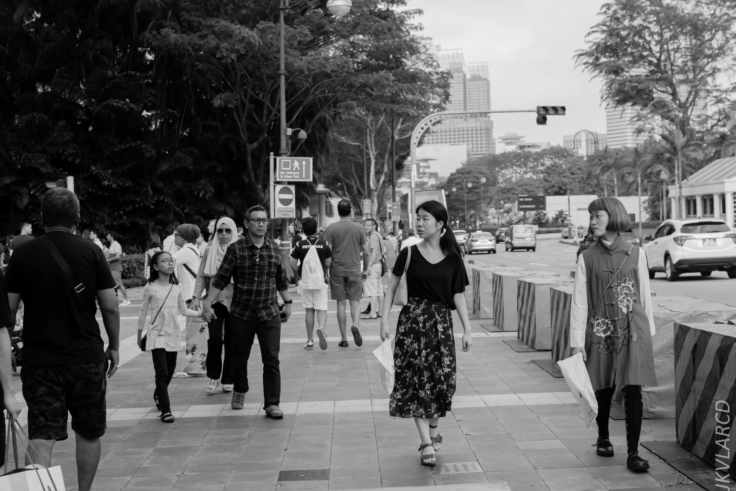 EOS 7D Mark II_2018_02_17_6821.jpg