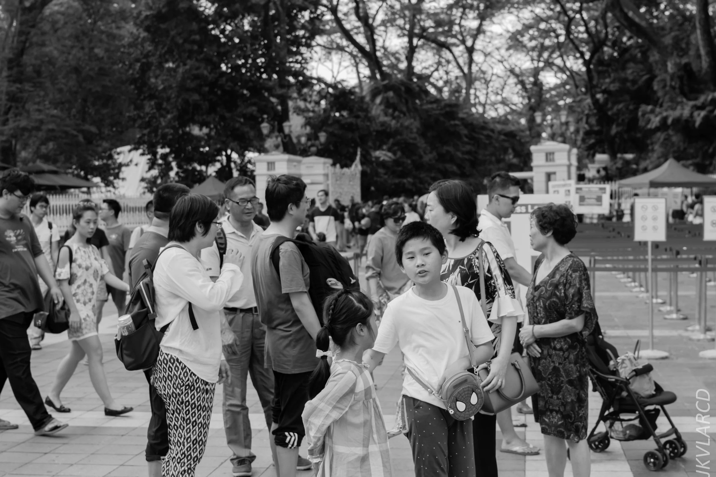 EOS 7D Mark II_2018_02_17_6823.jpg