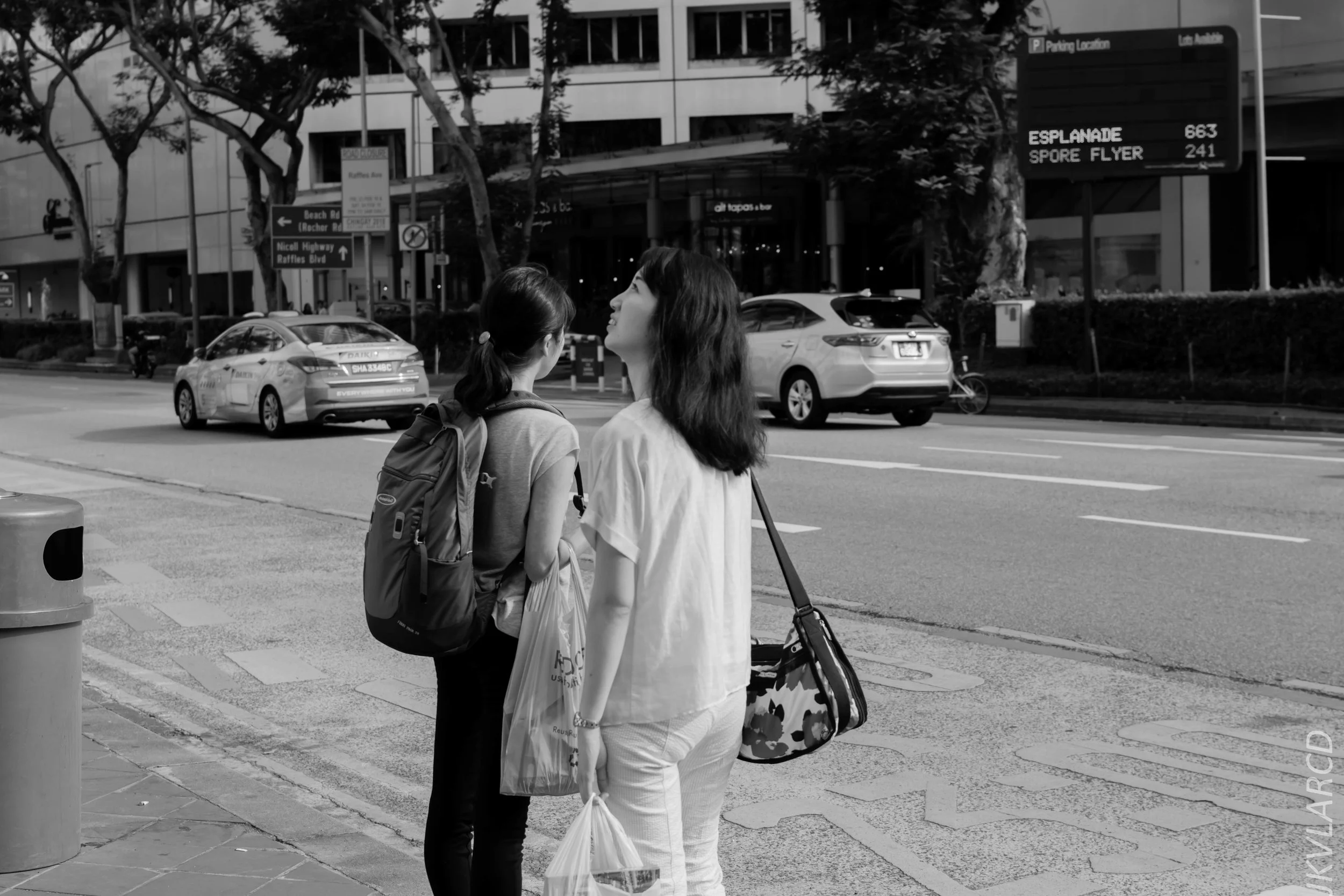 EOS 7D Mark II_2018_02_17_6848.jpg