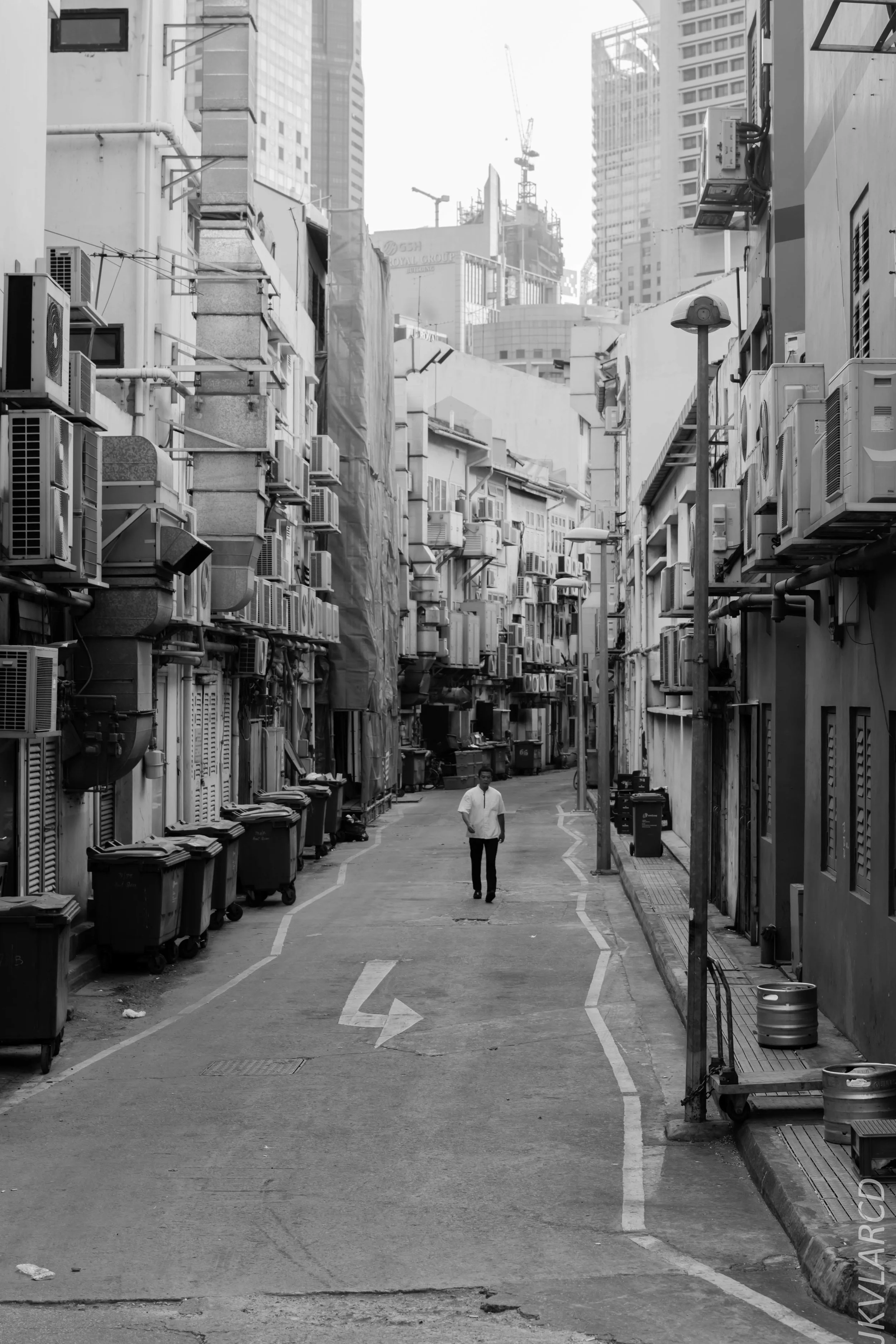 EOS 7D Mark II_2018_02_17_6874.jpg