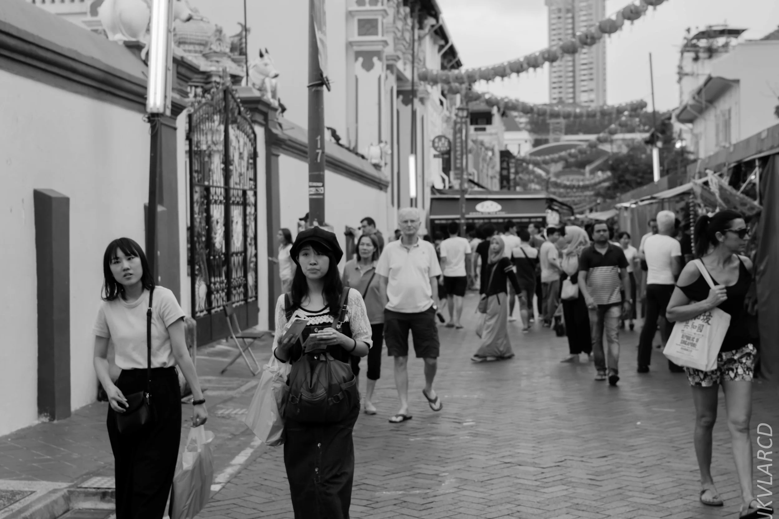 EOS 7D Mark II_2018_02_17_6891.jpg