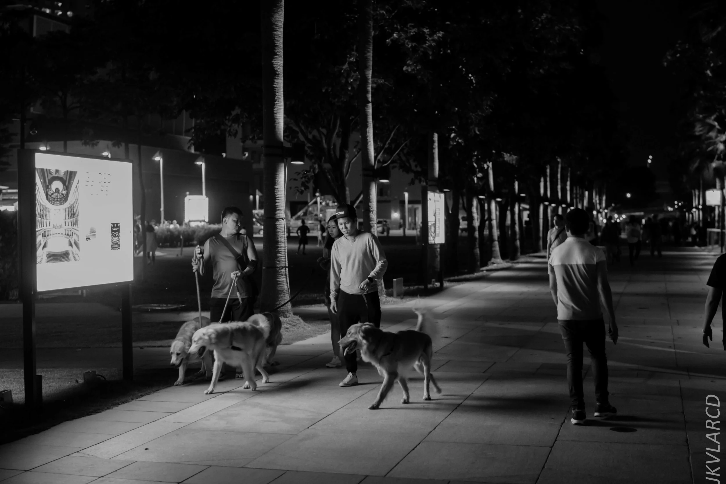 EOS 7D Mark II_2018_03_03_7496.jpg