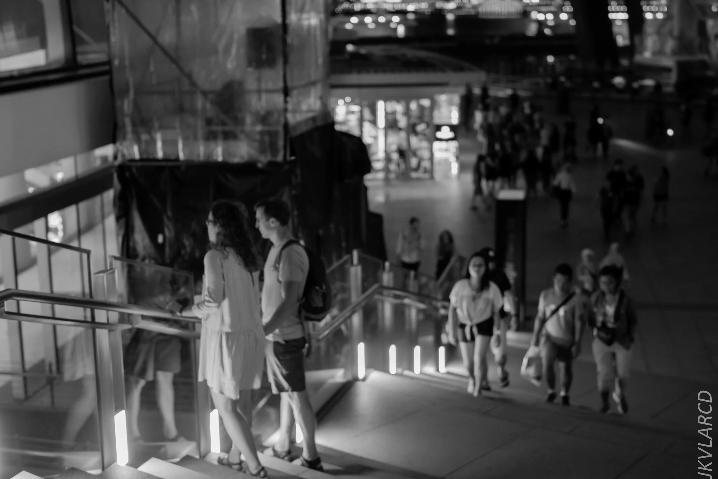 EOS 7D Mark II_2018_03_03_7600.jpg