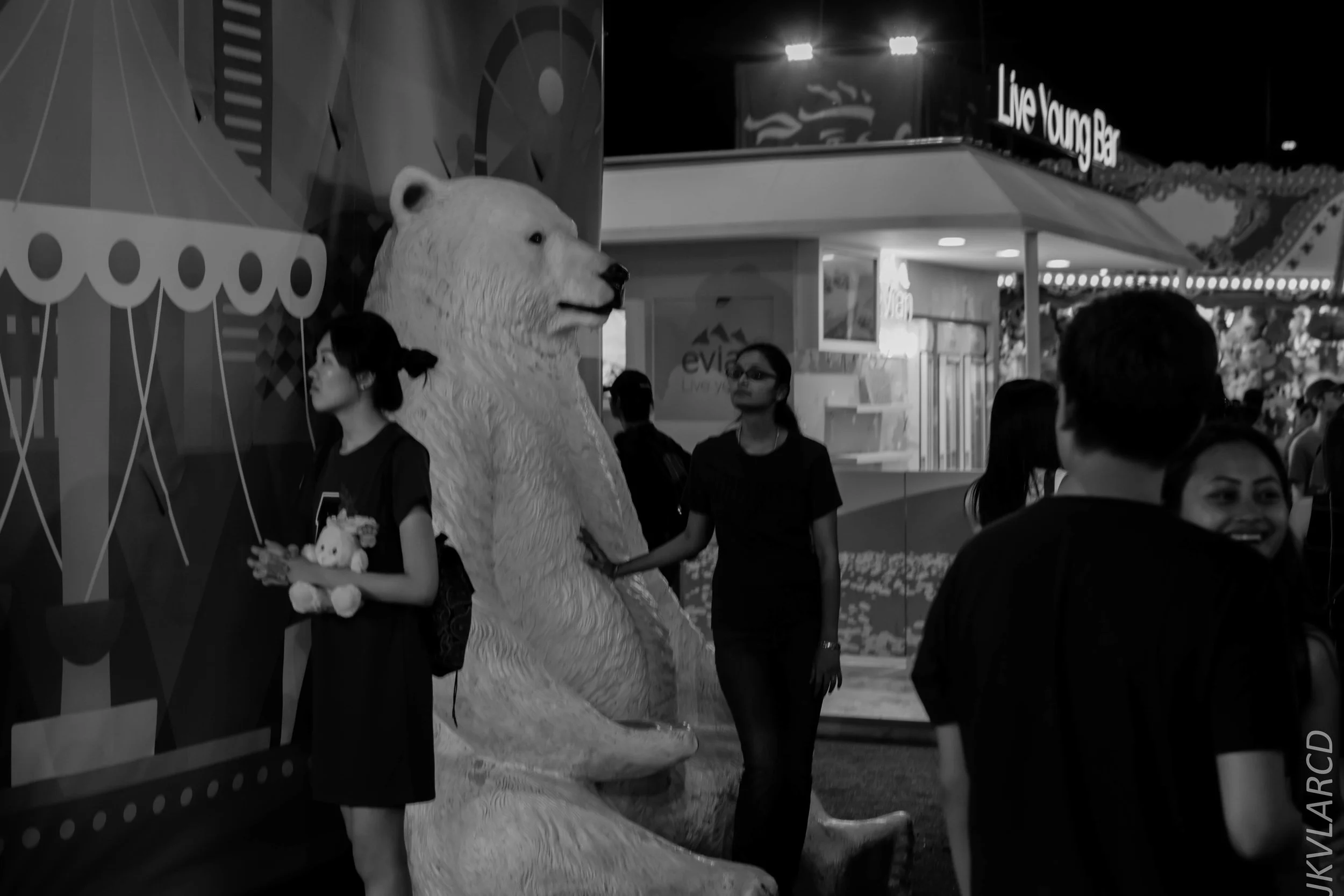 EOS 7D Mark II_2018_03_03_7616.jpg