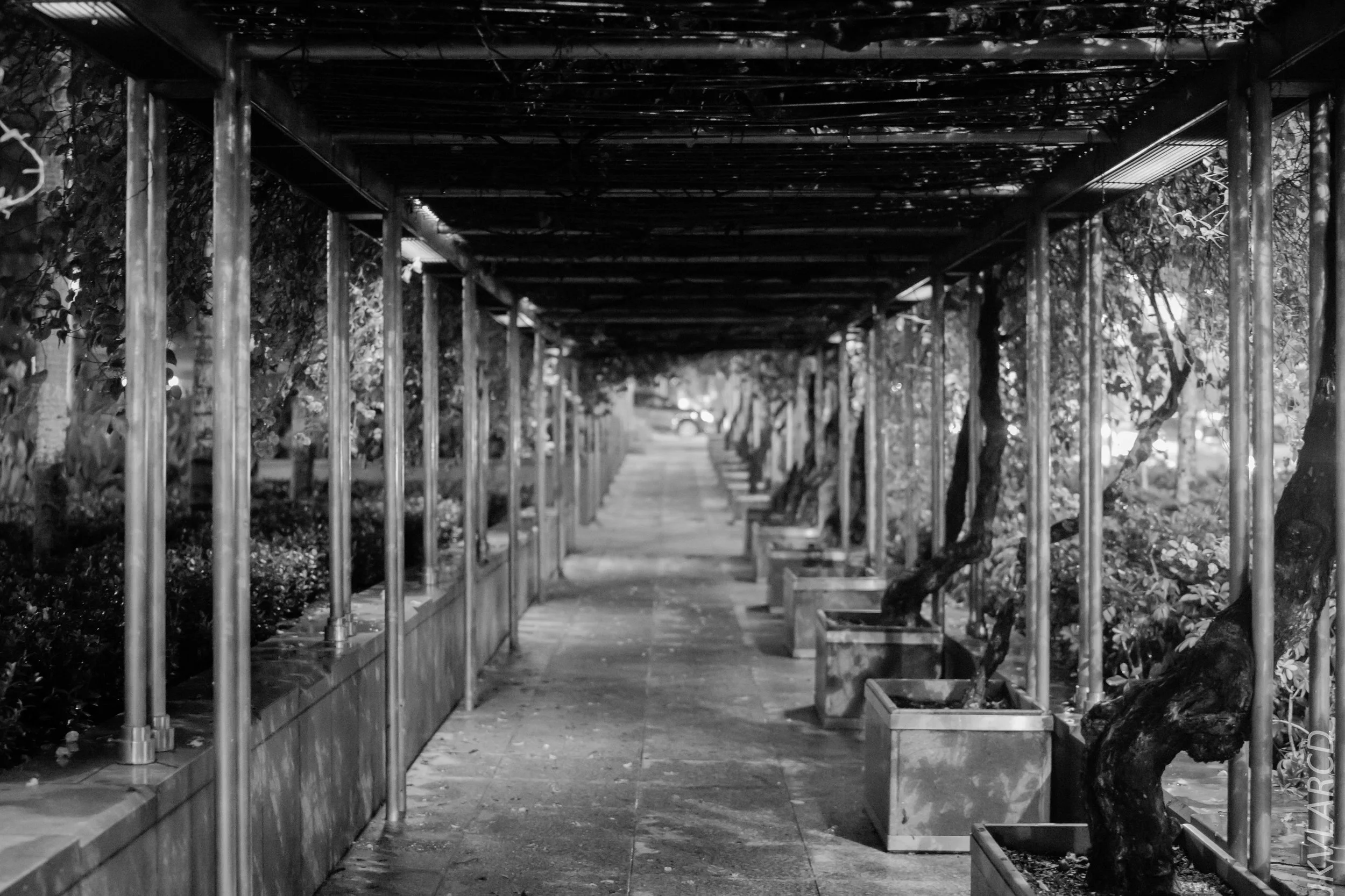 EOS 7D Mark II_2018_04_14_7743.jpg