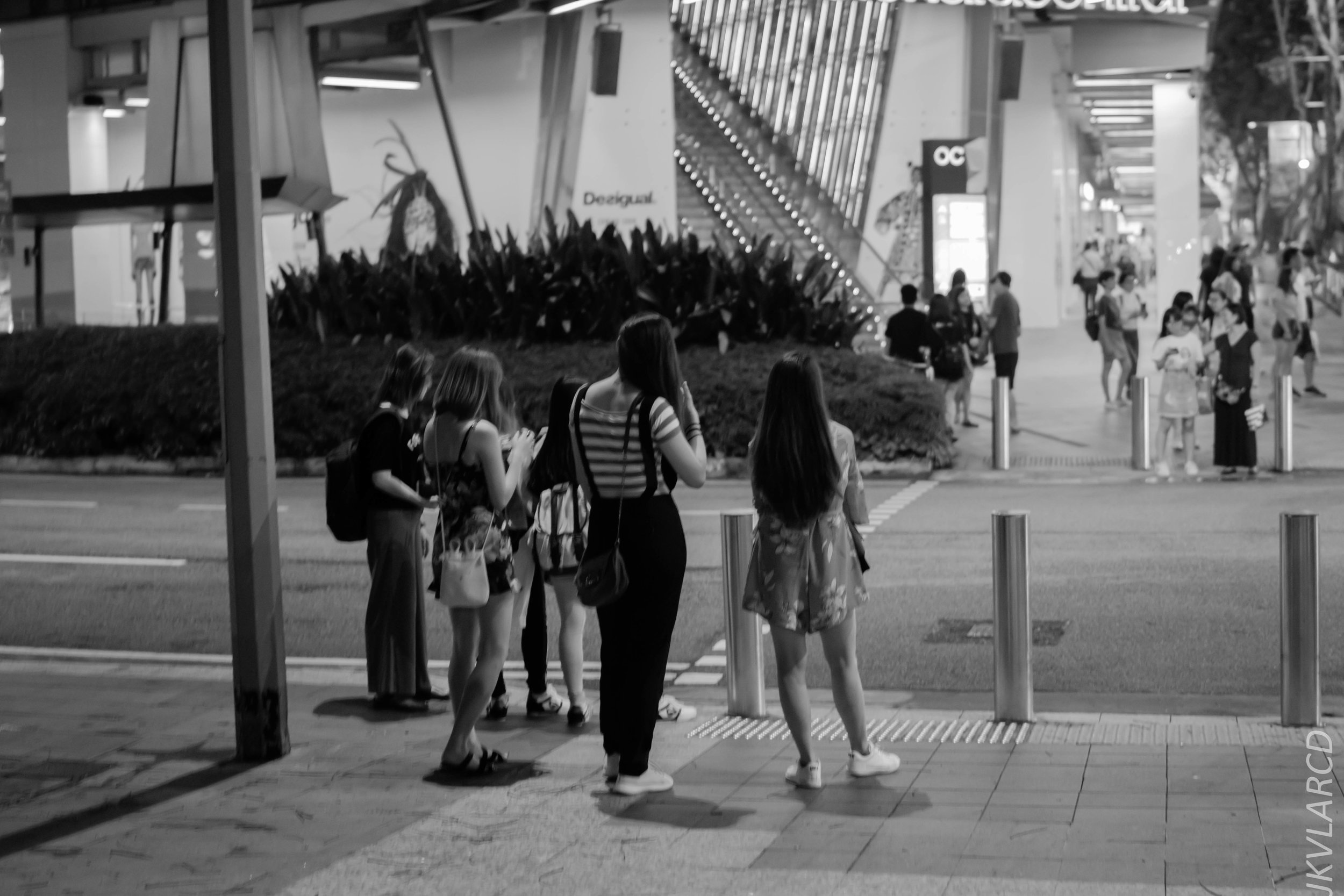 EOS 7D Mark II_2018_04_14_7749.jpg