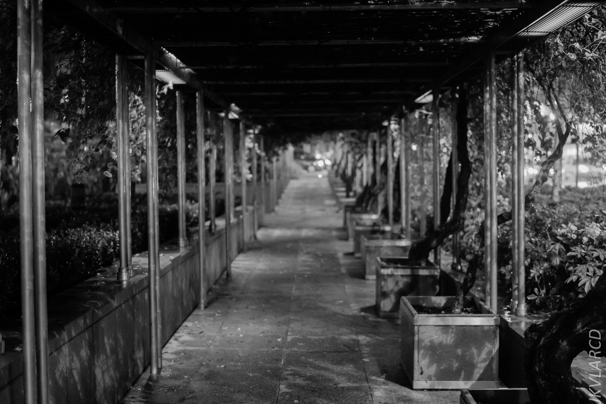 EOS 7D Mark II_2018_04_14_7744.jpg